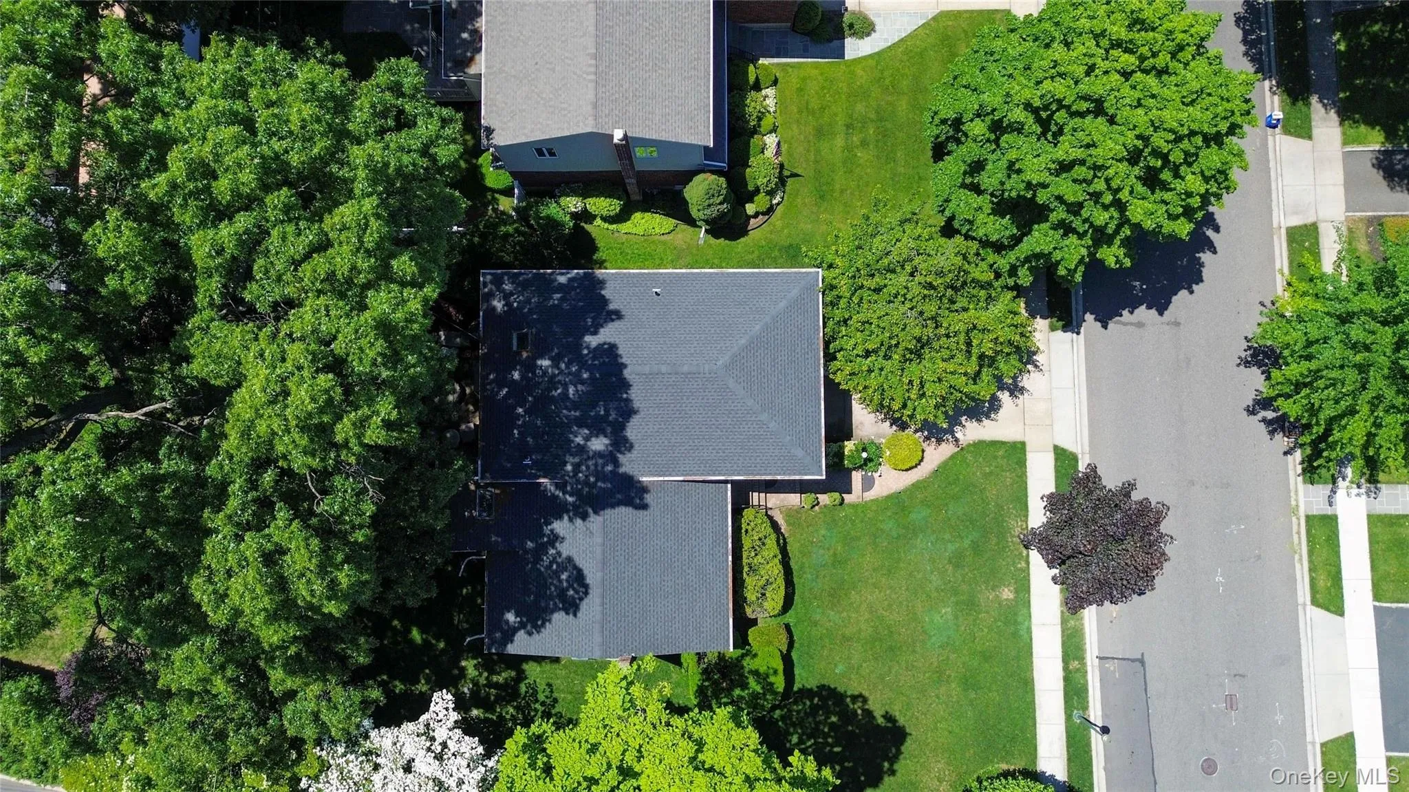 128 Atkinson Road, Hempstead, NY, 3 Bedrooms Bedrooms, 8 Rooms Rooms,2 BathroomsBathrooms,Residential,For Rent,Atkinson,0,1013677 128 Atkinson Road, Hempstead, NY, 3 Bedrooms Bedrooms, 8 Rooms Rooms,2 BathroomsBathrooms,Residential,For Rent,Atkinson,0,1013677