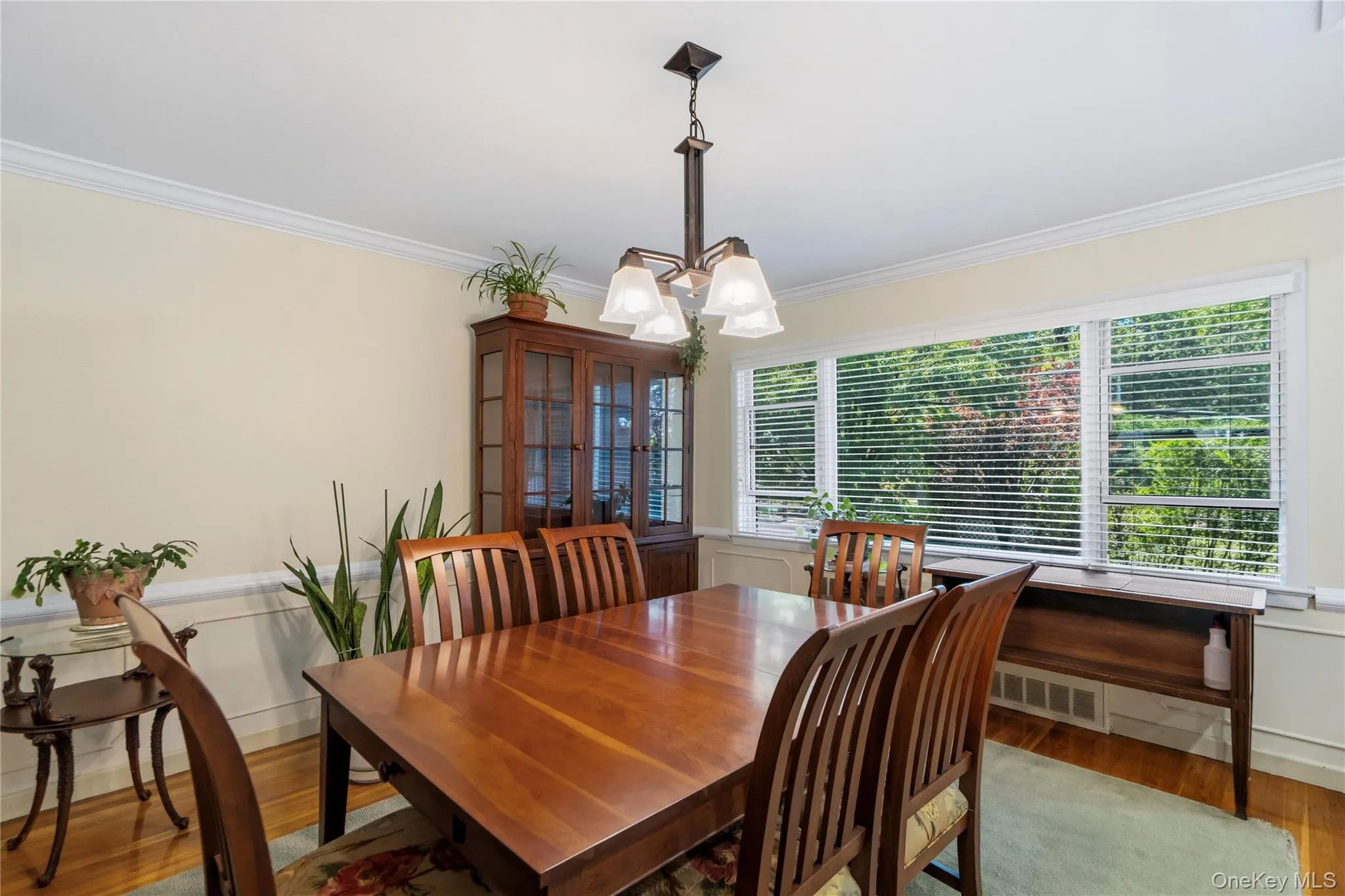 128 Atkinson Road, Hempstead, NY, 3 Bedrooms Bedrooms, 8 Rooms Rooms,2 BathroomsBathrooms,Residential,For Rent,Atkinson,0,1013677 128 Atkinson Road, Hempstead, NY, 3 Bedrooms Bedrooms, 8 Rooms Rooms,2 BathroomsBathrooms,Residential,For Rent,Atkinson,0,1013677