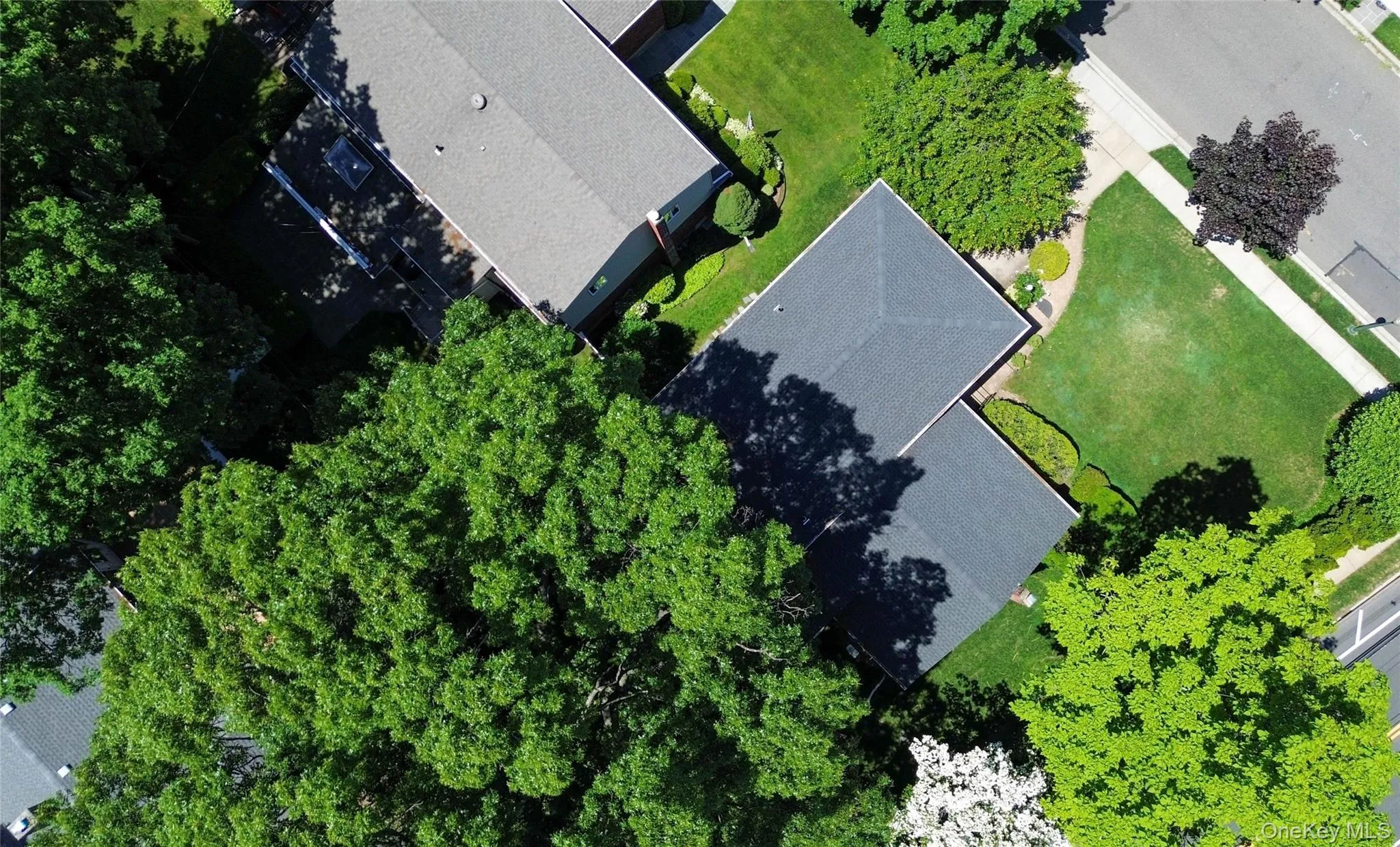 128 Atkinson Road, Hempstead, NY, 3 Bedrooms Bedrooms, 8 Rooms Rooms,2 BathroomsBathrooms,Residential,For Rent,Atkinson,0,1013677 128 Atkinson Road, Hempstead, NY, 3 Bedrooms Bedrooms, 8 Rooms Rooms,2 BathroomsBathrooms,Residential,For Rent,Atkinson,0,1013677