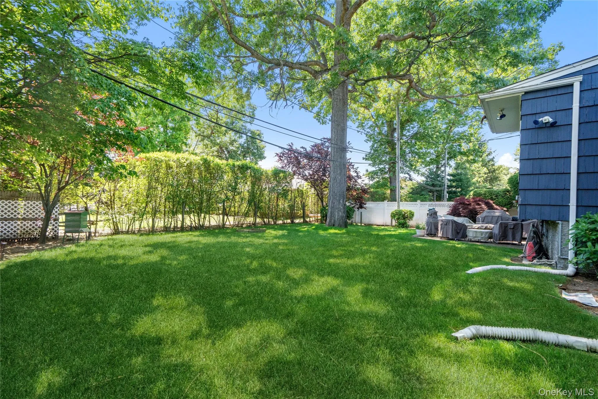 128 Atkinson Road, Hempstead, NY, 3 Bedrooms Bedrooms, 8 Rooms Rooms,2 BathroomsBathrooms,Residential,For Rent,Atkinson,0,1013677 128 Atkinson Road, Hempstead, NY, 3 Bedrooms Bedrooms, 8 Rooms Rooms,2 BathroomsBathrooms,Residential,For Rent,Atkinson,0,1013677