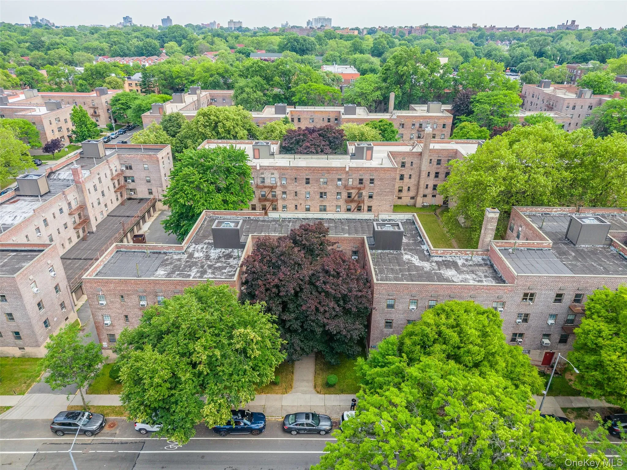 144-36 78th Avenue, New York, NY, 2 Bedrooms Bedrooms, 4 Rooms Rooms,1 BathroomBathrooms,Residential,For Rent,78th,0,1013687 144-36 78th Avenue, New York, NY, 2 Bedrooms Bedrooms, 4 Rooms Rooms,1 BathroomBathrooms,Residential,For Rent,78th,0,1013687
