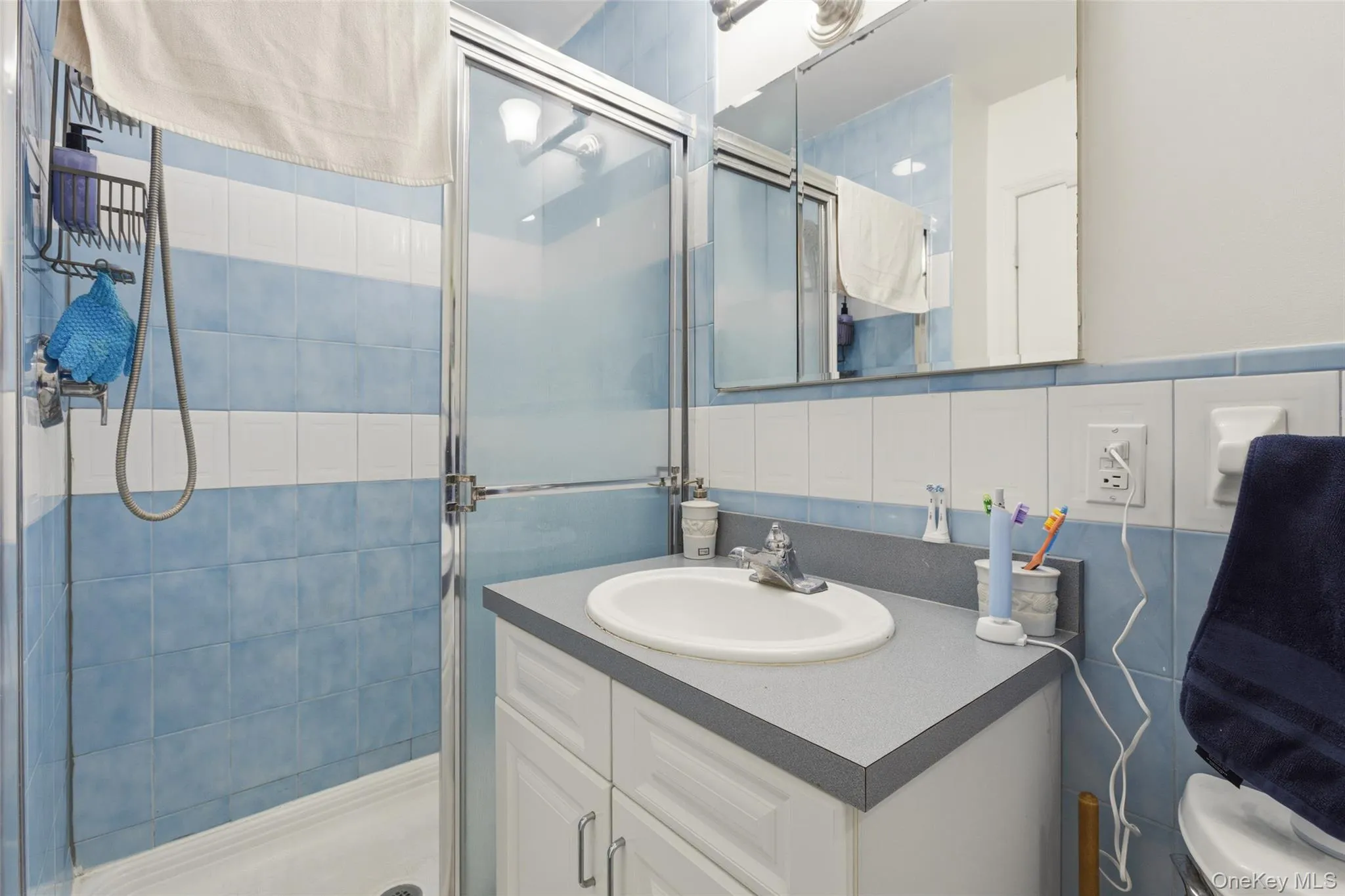 2 Ruth Court, Ramapo, NY, 6 Bedrooms Bedrooms, 11 Rooms Rooms,3 BathroomsBathrooms,Residential,For Rent,Ruth,0,1013690 2 Ruth Court, Ramapo, NY, 6 Bedrooms Bedrooms, 11 Rooms Rooms,3 BathroomsBathrooms,Residential,For Rent,Ruth,0,1013690