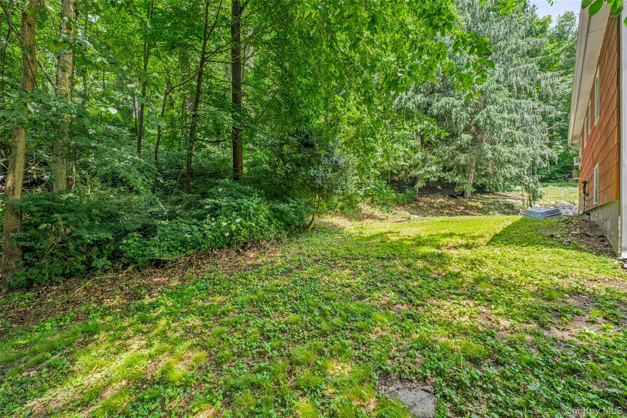 Expansive wooded property featuring mature trees and a grassy clearing behind house Expansive wooded property featuring mature trees and a grassy clearing behind house