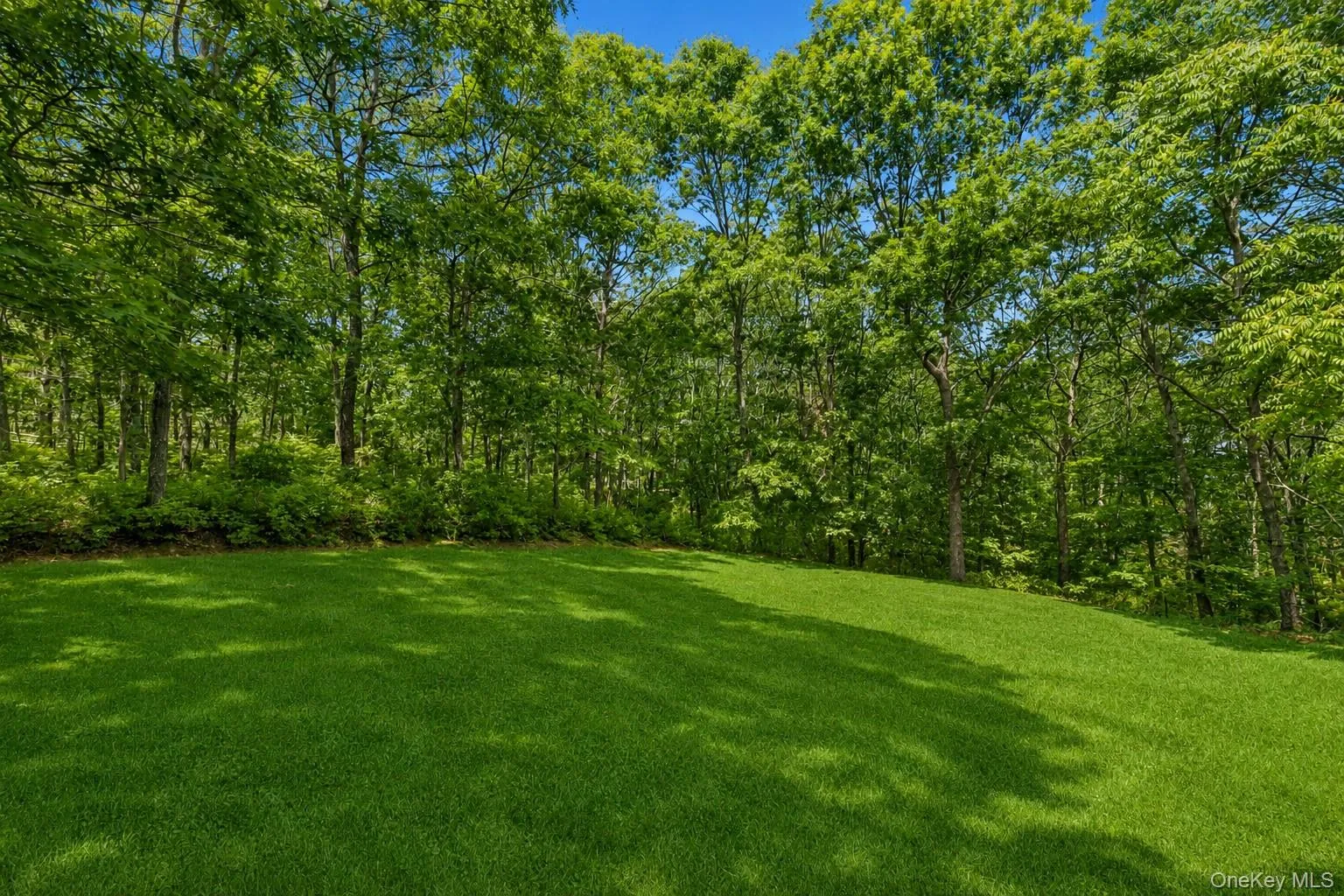 Backyard protected by parkland Backyard protected by parkland