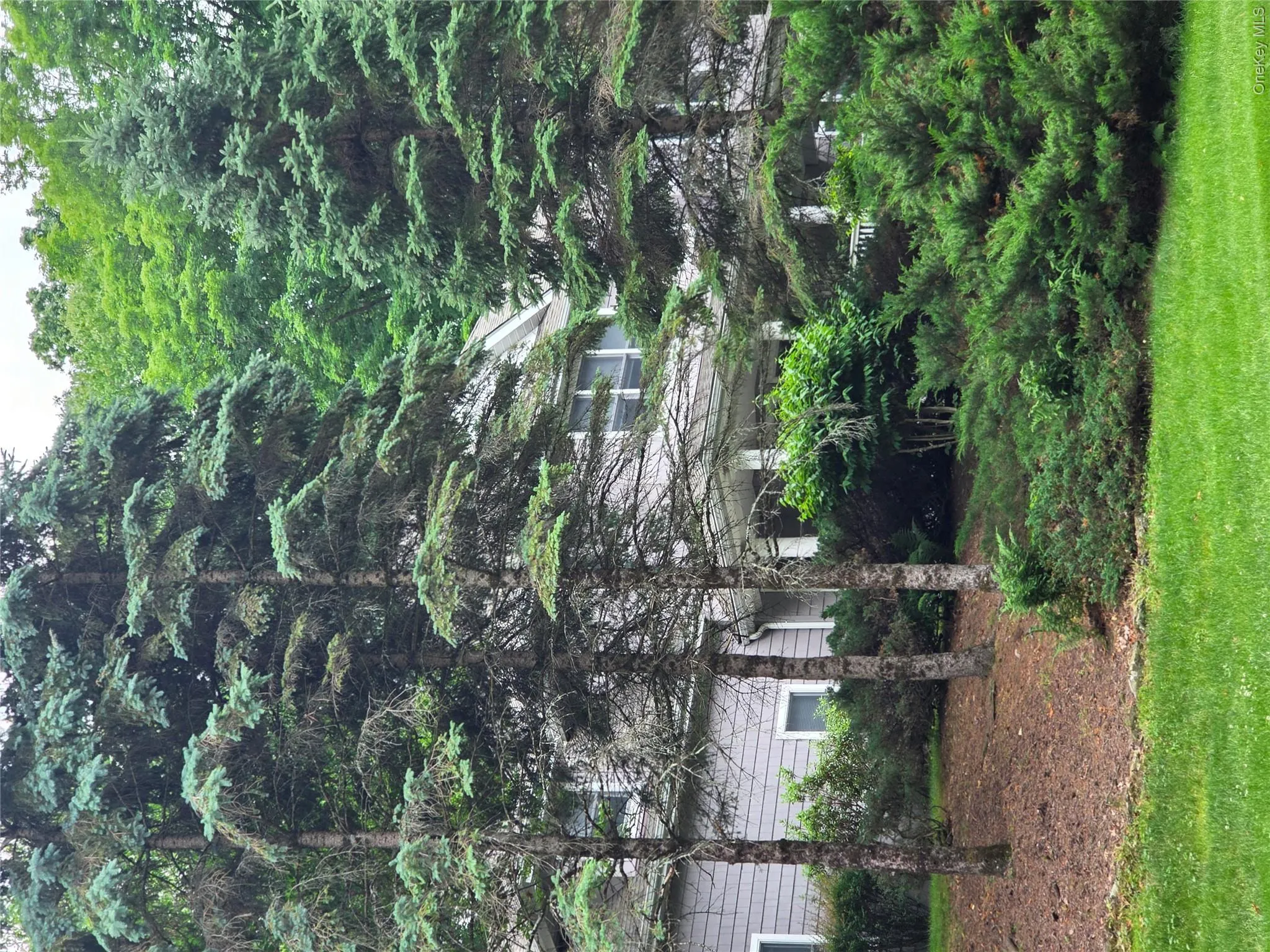 Feels like living in the woods Feels like living in the woods