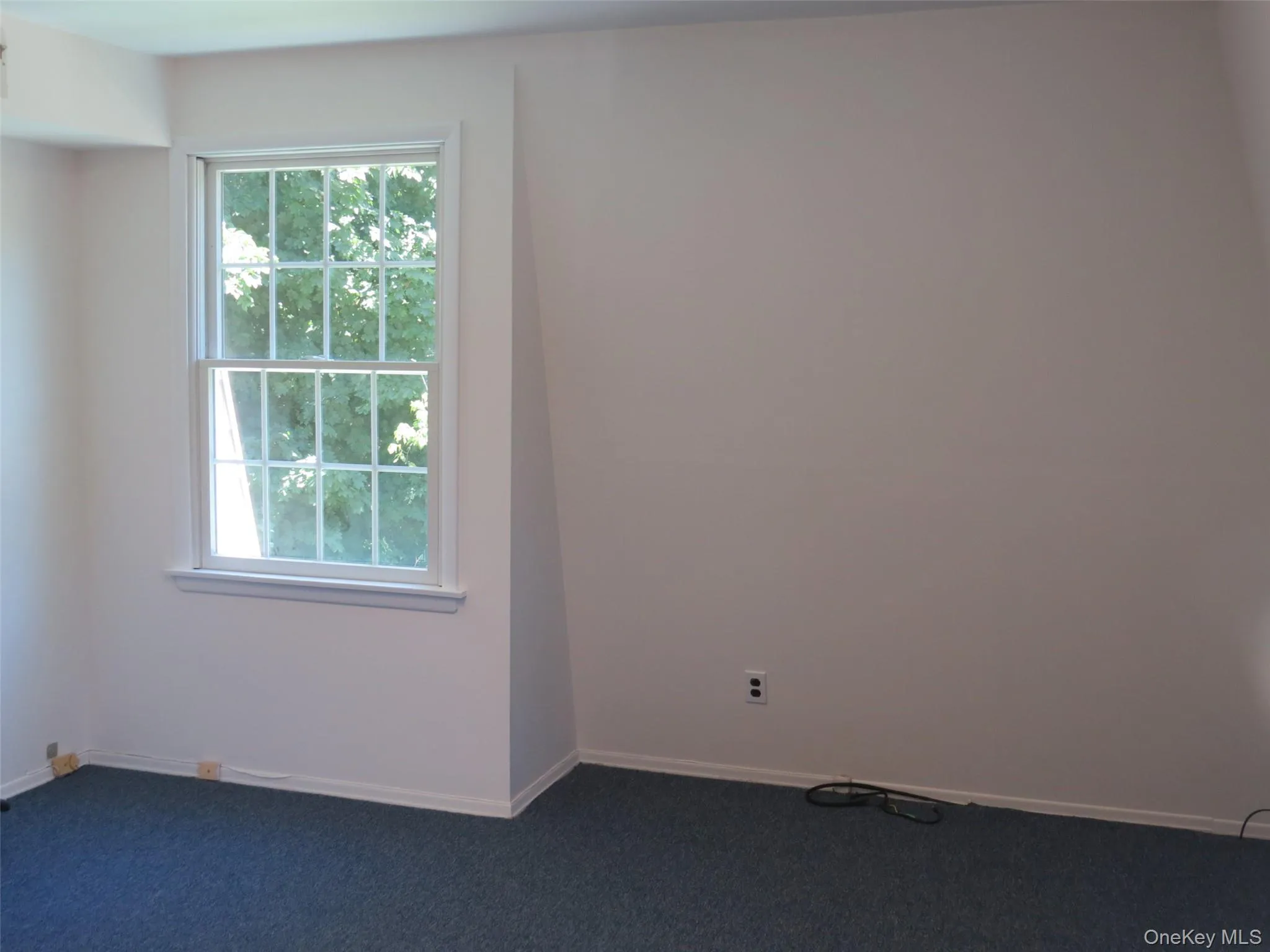 299 Main Street, Huntington, NY, ,Commercial Lease,For Rent,Main,0,1013738 299 Main Street, Huntington, NY, ,Commercial Lease,For Rent,Main,0,1013738