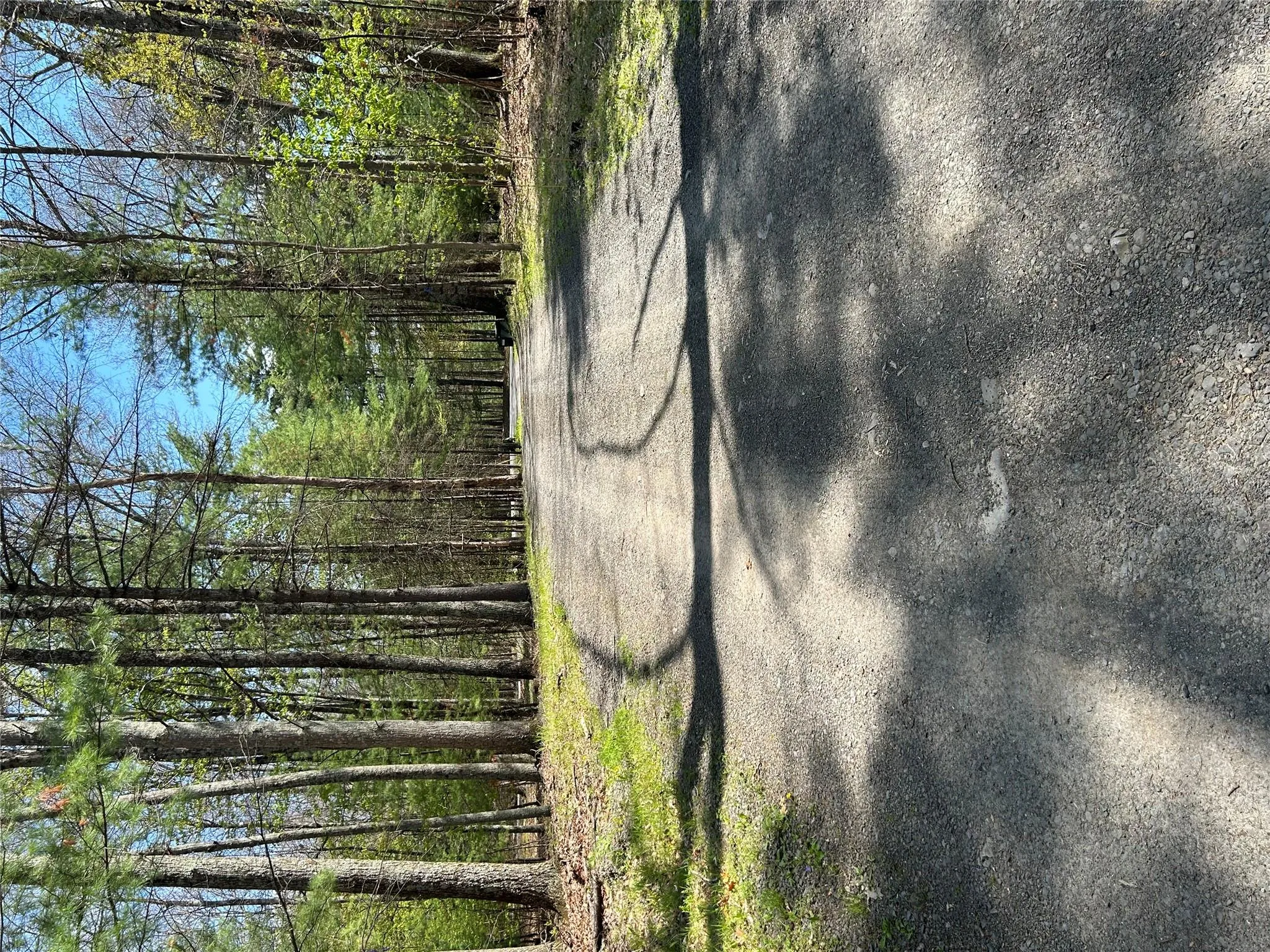 22 Pine Castle Drive, Wawarsing, NY, 4 Bedrooms Bedrooms, 6 Rooms Rooms,3 BathroomsBathrooms,Residential,For Rent,Pine Castle,0,1013760 22 Pine Castle Drive, Wawarsing, NY, 4 Bedrooms Bedrooms, 6 Rooms Rooms,3 BathroomsBathrooms,Residential,For Rent,Pine Castle,0,1013760