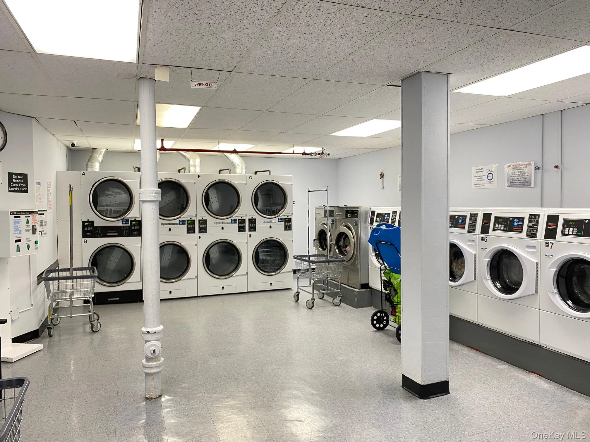 67-25 Clyde Street, New York, NY, 1 Bedroom Bedrooms, 3 Rooms Rooms,1 BathroomBathrooms,Residential,For Rent,Clyde,0,1013761 67-25 Clyde Street, New York, NY, 1 Bedroom Bedrooms, 3 Rooms Rooms,1 BathroomBathrooms,Residential,For Rent,Clyde,0,1013761