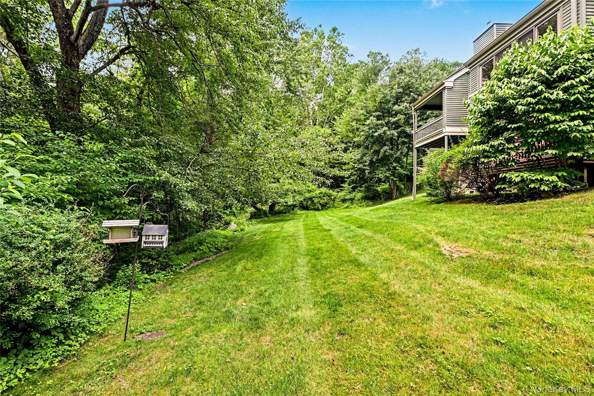 Large lawn and wooded backyard. Large lawn and wooded backyard.