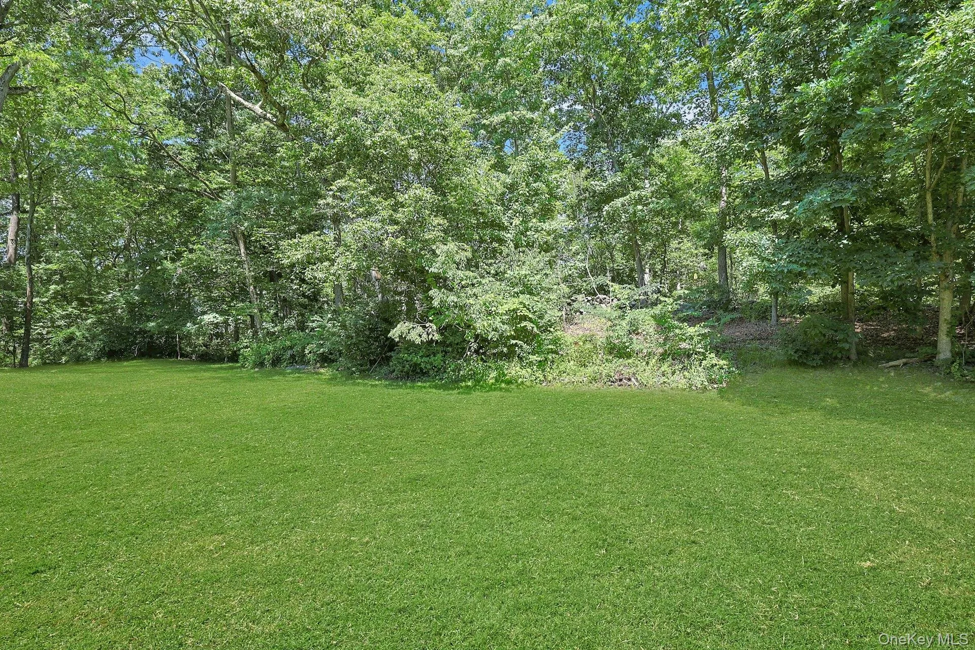Behind the unit, the open rear yard is peaceful. Sit and watch the squirrels and bunnies as they frolic. Behind the unit, the open rear yard is peaceful. Sit and watch the squirrels and bunnies as they frolic.