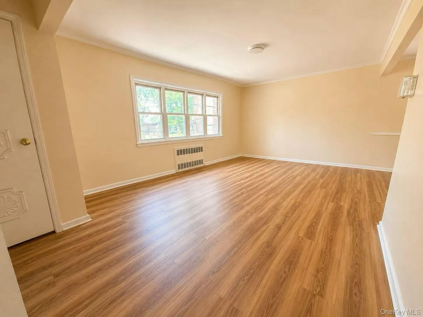 61-32 172nd, New York, NY, 3 Bedrooms Bedrooms, 5 Rooms Rooms,1 BathroomBathrooms,Residential Lease,For Rent,172nd,0,1013855 61-32 172nd, New York, NY, 3 Bedrooms Bedrooms, 5 Rooms Rooms,1 BathroomBathrooms,Residential Lease,For Rent,172nd,0,1013855