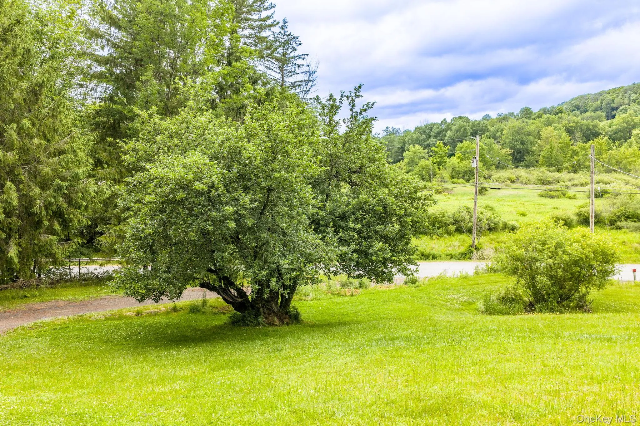 673 Hessinger And Lare Road, Callicoon, NY, 3 Bedrooms Bedrooms, 7 Rooms Rooms,2 BathroomsBathrooms,Residential,For Rent,Hessinger And Lare,0,1013859 673 Hessinger And Lare Road, Callicoon, NY, 3 Bedrooms Bedrooms, 7 Rooms Rooms,2 BathroomsBathrooms,Residential,For Rent,Hessinger And Lare,0,1013859