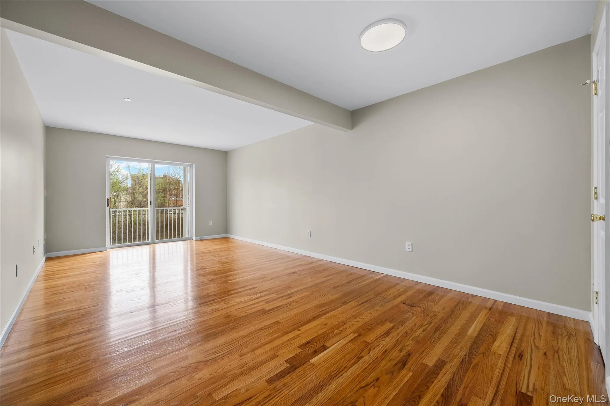 Unfurnished room featuring light wood finished floors and baseboards Unfurnished room featuring light wood finished floors and baseboards