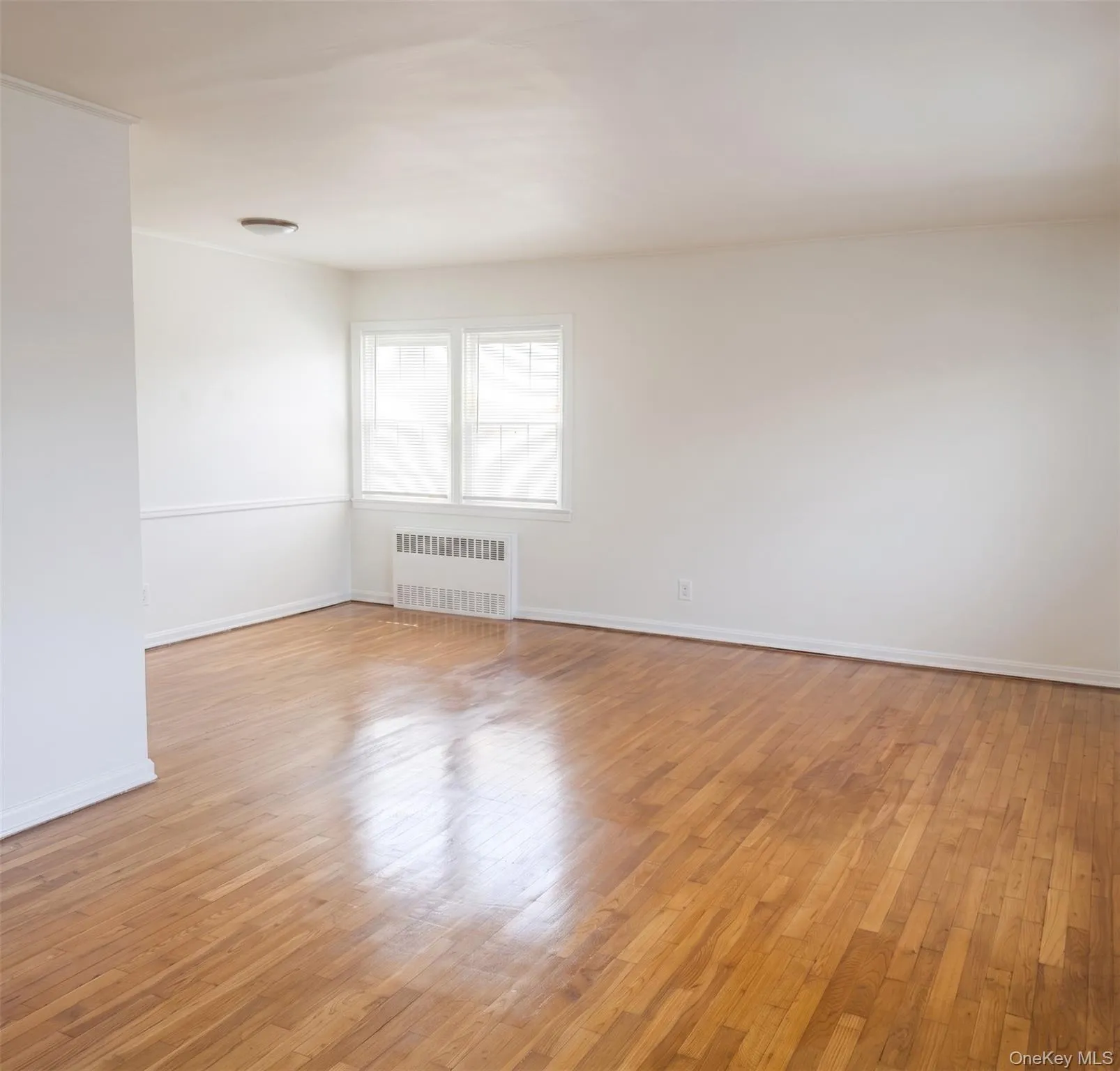 2711 Deerfield Road, New York, NY, 2 Bedrooms Bedrooms, 3 Rooms Rooms,1 BathroomBathrooms,Residential Lease,For Rent,Deerfield,0,1013861 2711 Deerfield Road, New York, NY, 2 Bedrooms Bedrooms, 3 Rooms Rooms,1 BathroomBathrooms,Residential Lease,For Rent,Deerfield,0,1013861