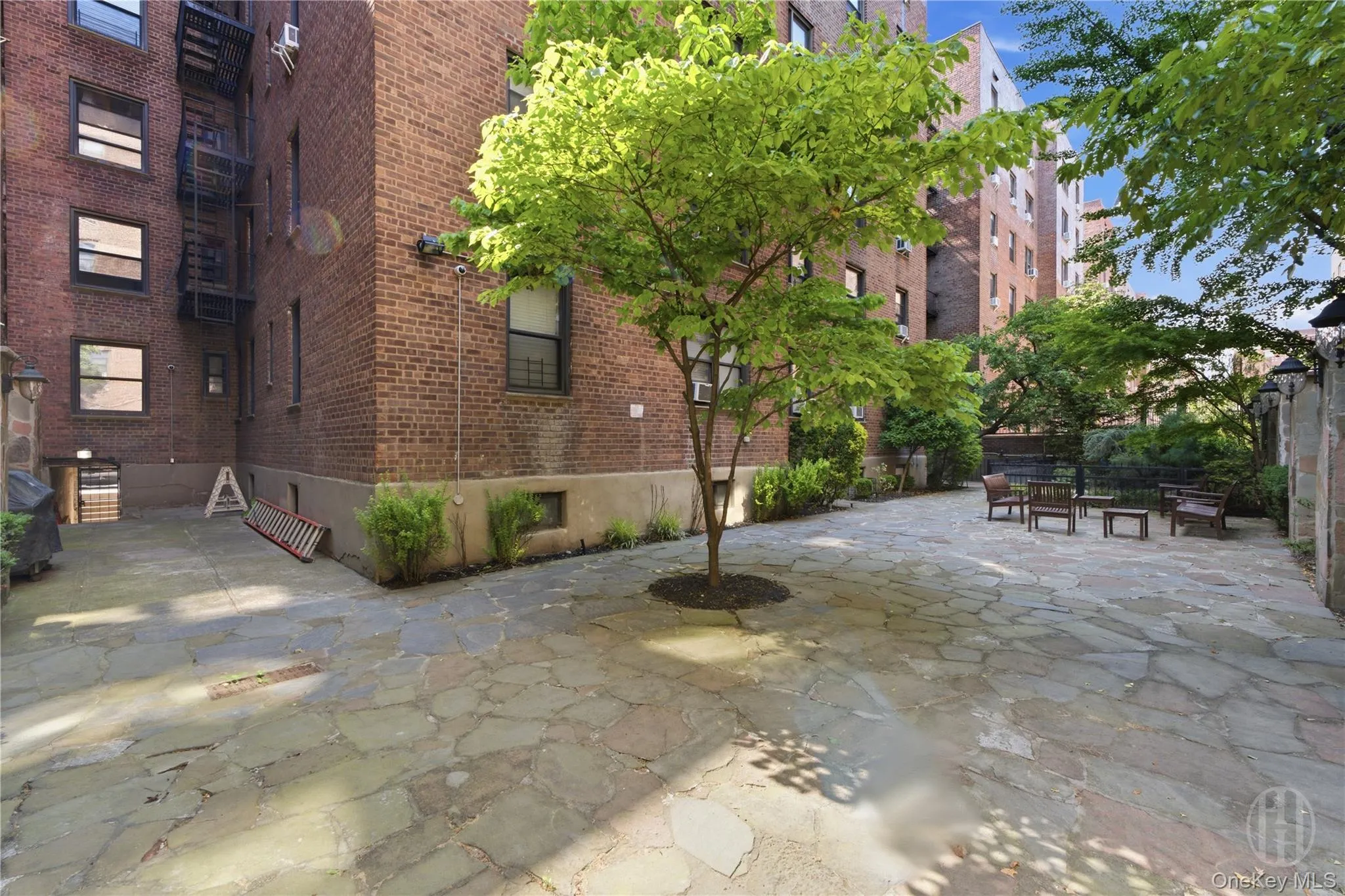 3727 86, New York, NY, 2 Rooms Rooms,1 BathroomBathrooms,Residential,For Rent,86,0,1013862 3727 86, New York, NY, 2 Rooms Rooms,1 BathroomBathrooms,Residential,For Rent,86,0,1013862