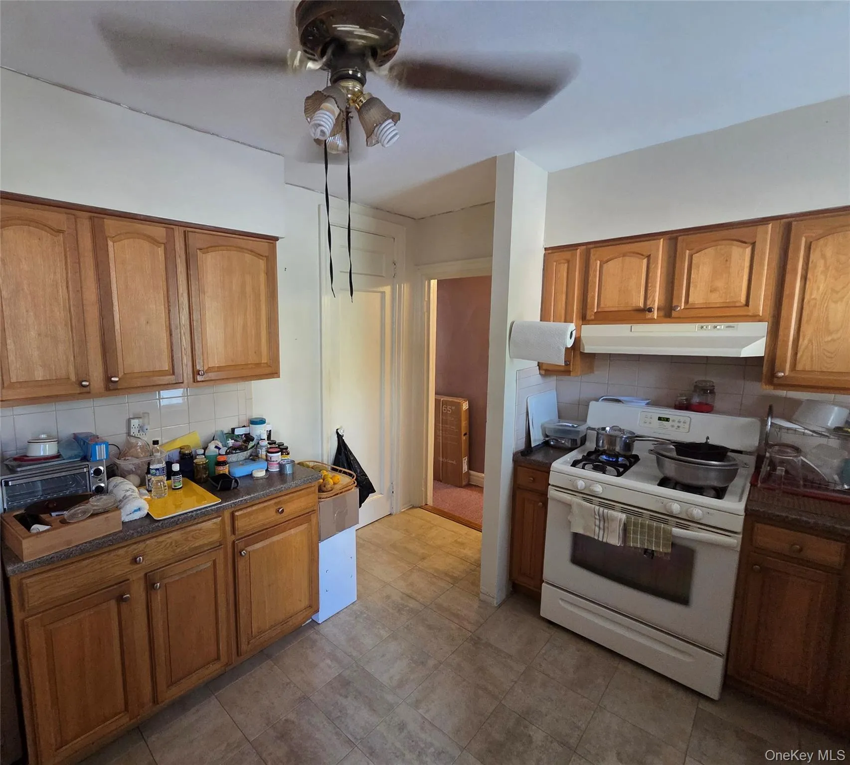 2726 Holland Avenue, New York, NY, 1 Bedroom Bedrooms, 4 Rooms Rooms,1 BathroomBathrooms,Residential Lease,For Rent,Holland,0,KEY1013896 2726 Holland Avenue, New York, NY, 1 Bedroom Bedrooms, 4 Rooms Rooms,1 BathroomBathrooms,Residential Lease,For Rent,Holland,0,KEY1013896