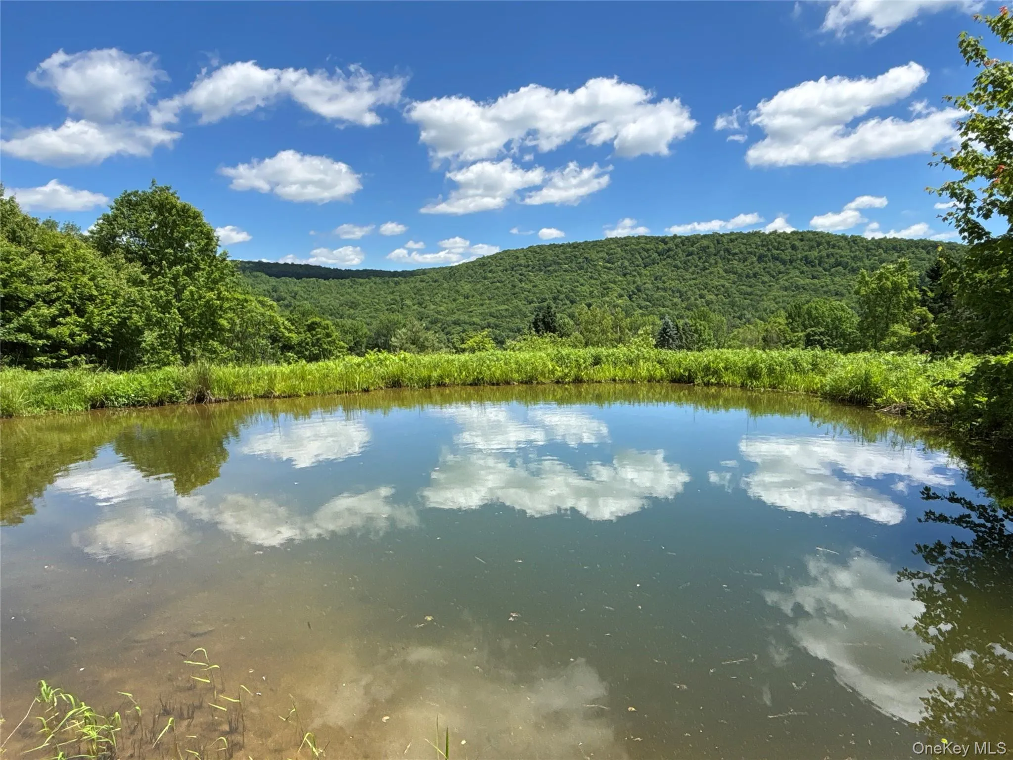 2613 Murphy Hill Road, Andes, NY, ,Land,For Rent,Murphy Hill,0,1013921 2613 Murphy Hill Road, Andes, NY, ,Land,For Rent,Murphy Hill,0,1013921