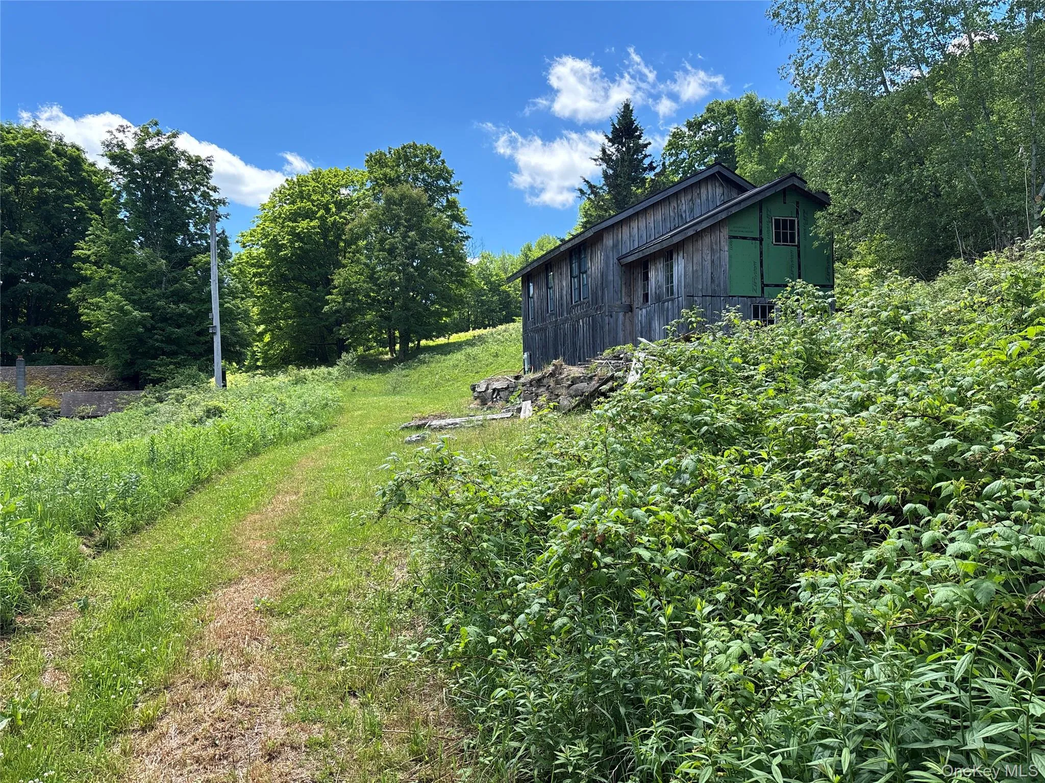 2613 Murphy Hill Road, Andes, NY, ,Land,For Rent,Murphy Hill,0,1013921 2613 Murphy Hill Road, Andes, NY, ,Land,For Rent,Murphy Hill,0,1013921