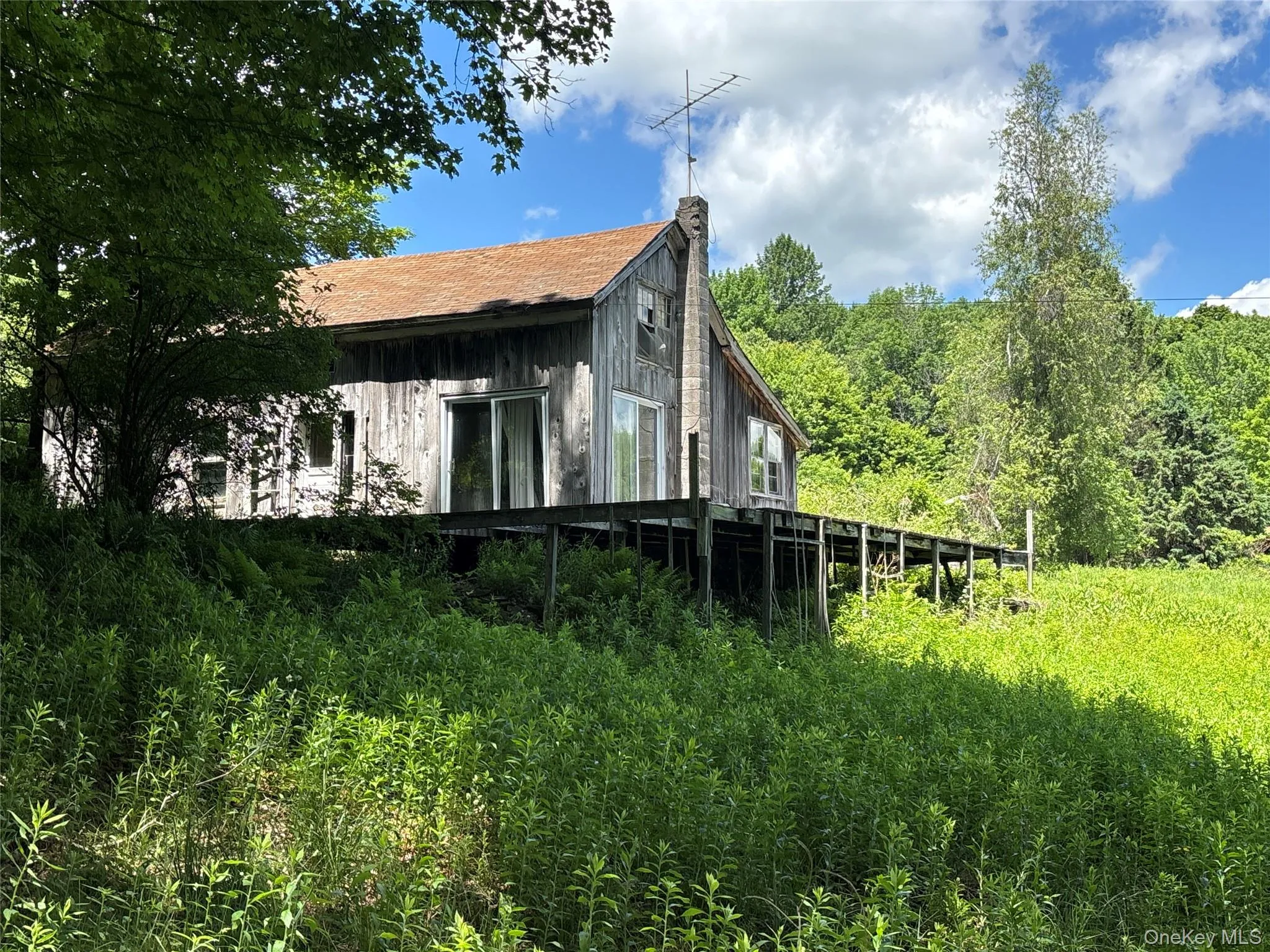2613 Murphy Hill Road, Andes, NY, ,Land,For Rent,Murphy Hill,0,1013921 2613 Murphy Hill Road, Andes, NY, ,Land,For Rent,Murphy Hill,0,1013921