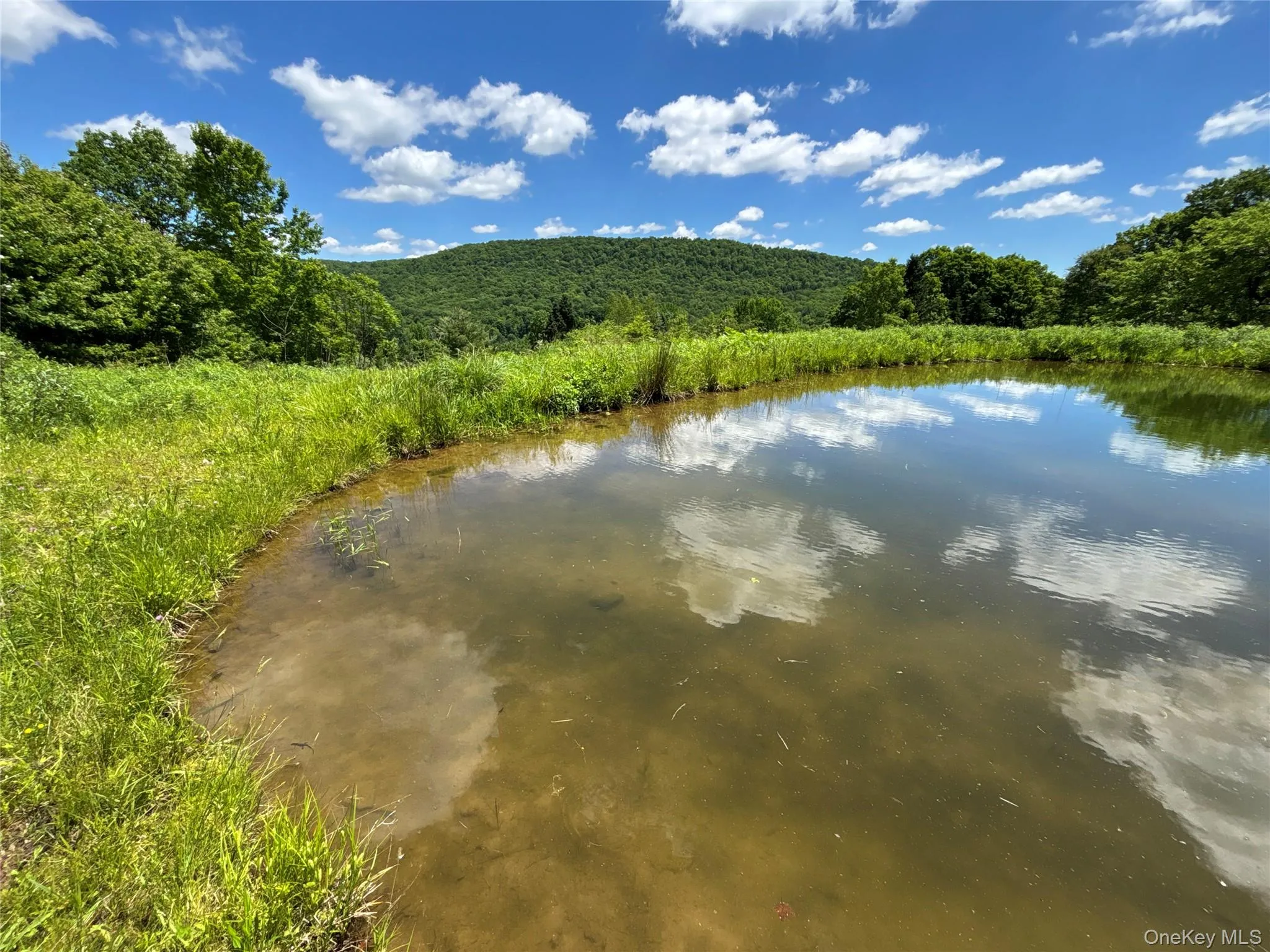 2613 Murphy Hill Road, Andes, NY, ,Land,For Rent,Murphy Hill,0,1013921 2613 Murphy Hill Road, Andes, NY, ,Land,For Rent,Murphy Hill,0,1013921