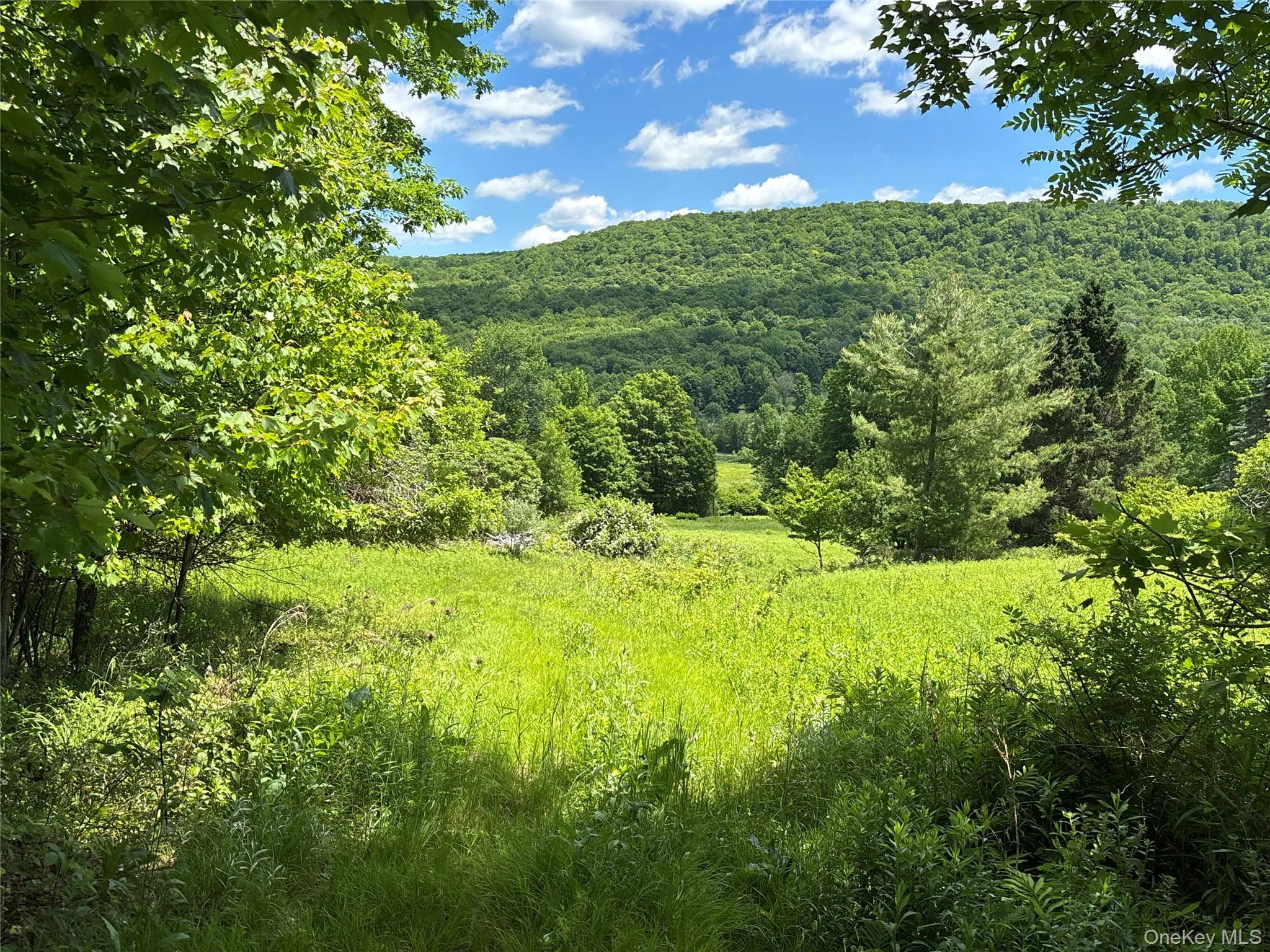 2613 Murphy Hill Road, Andes, NY, ,Land,For Rent,Murphy Hill,0,1013921 2613 Murphy Hill Road, Andes, NY, ,Land,For Rent,Murphy Hill,0,1013921