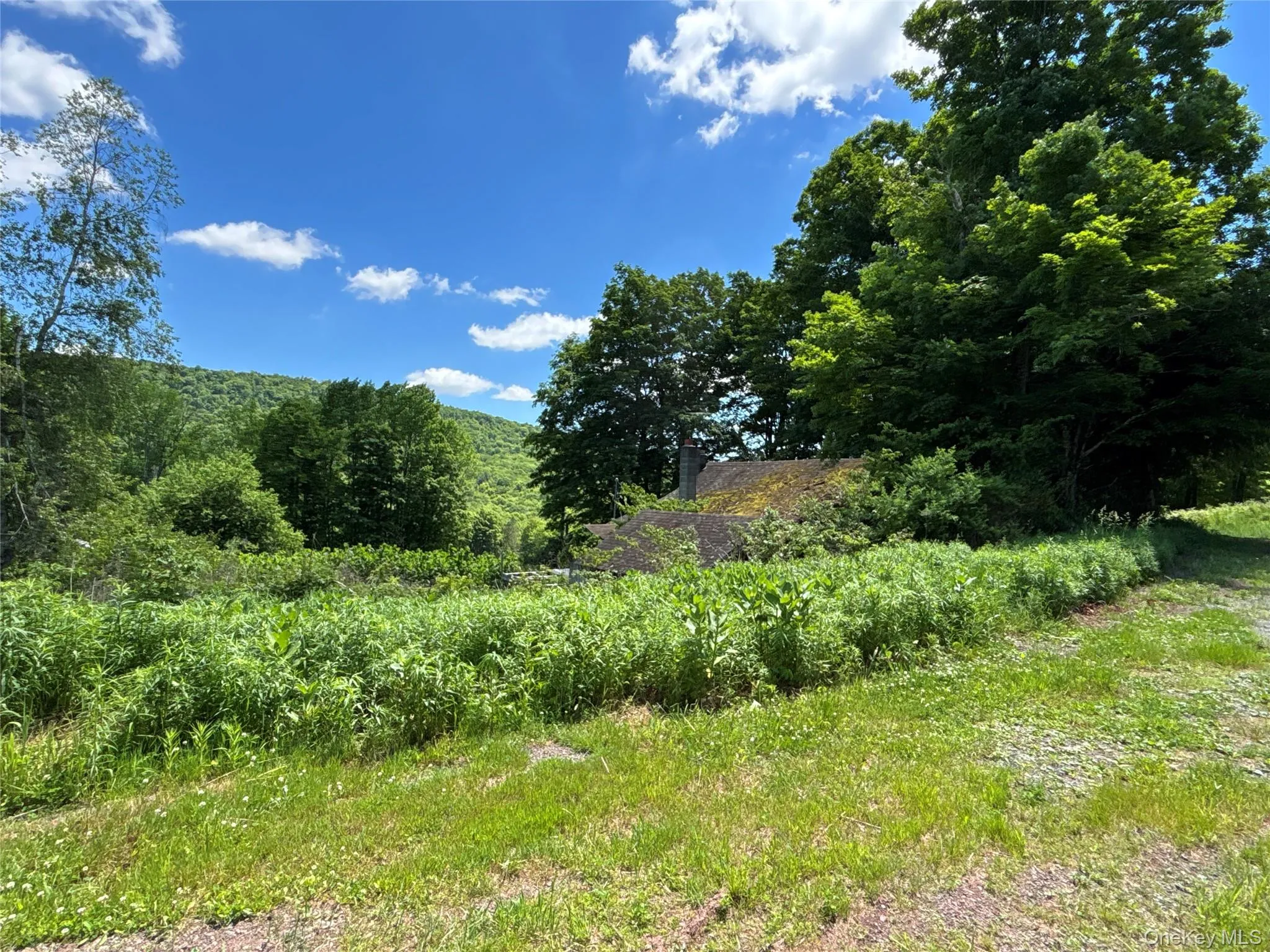 2613 Murphy Hill Road, Andes, NY, ,Land,For Rent,Murphy Hill,0,1013921 2613 Murphy Hill Road, Andes, NY, ,Land,For Rent,Murphy Hill,0,1013921