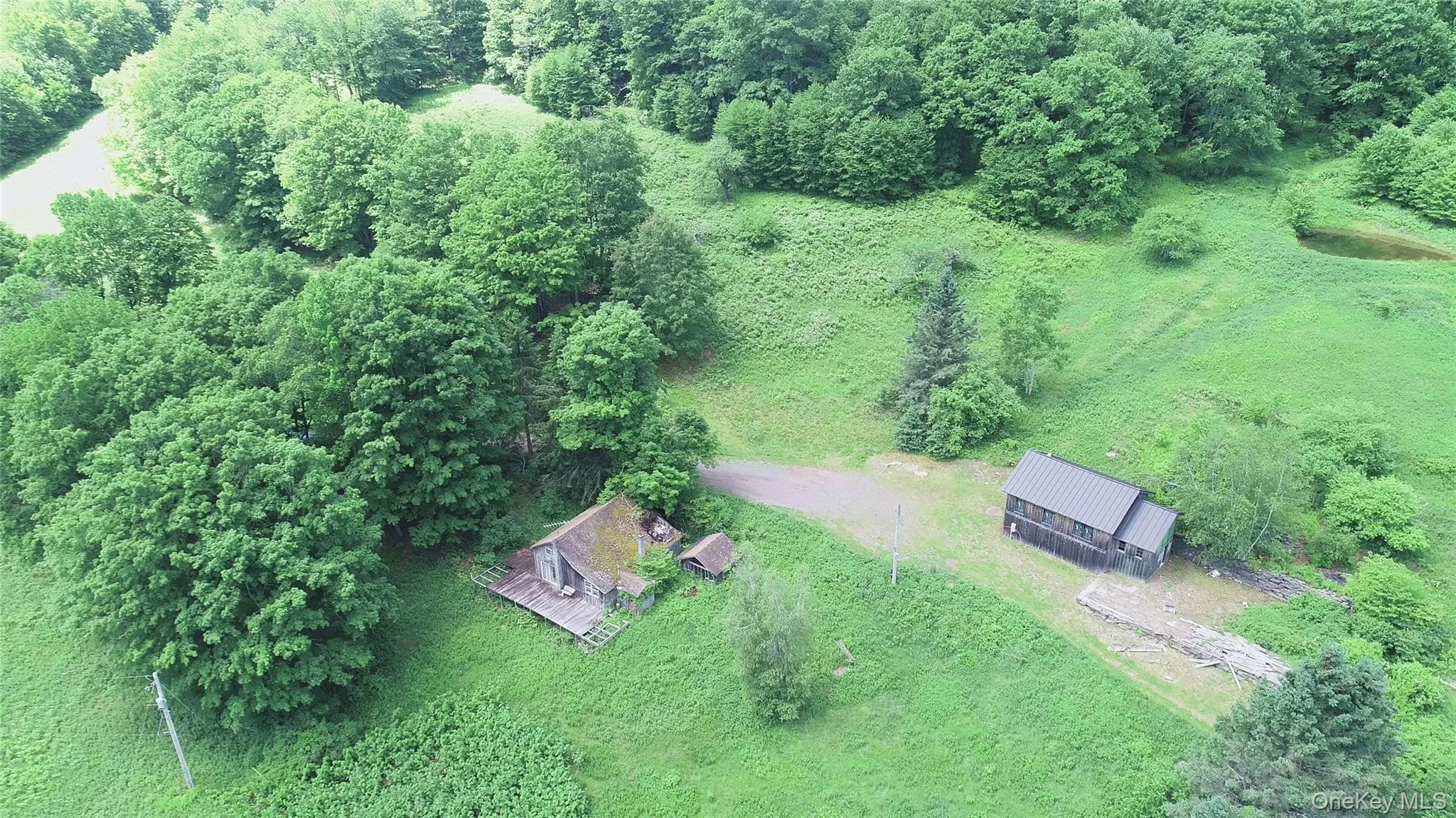2613 Murphy Hill Road, Andes, NY, ,Land,For Rent,Murphy Hill,0,1013921 2613 Murphy Hill Road, Andes, NY, ,Land,For Rent,Murphy Hill,0,1013921