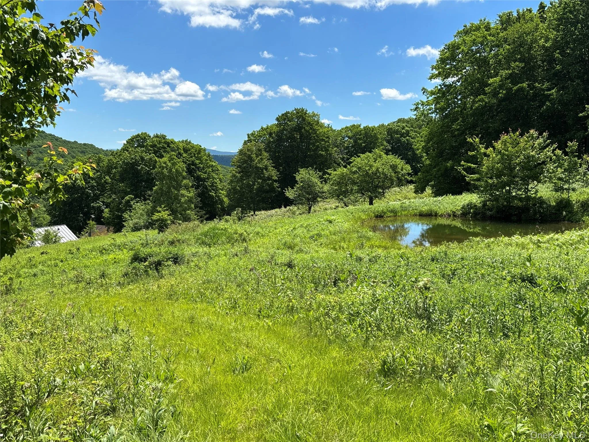 2613 Murphy Hill Road, Andes, NY, ,Land,For Rent,Murphy Hill,0,1013921 2613 Murphy Hill Road, Andes, NY, ,Land,For Rent,Murphy Hill,0,1013921