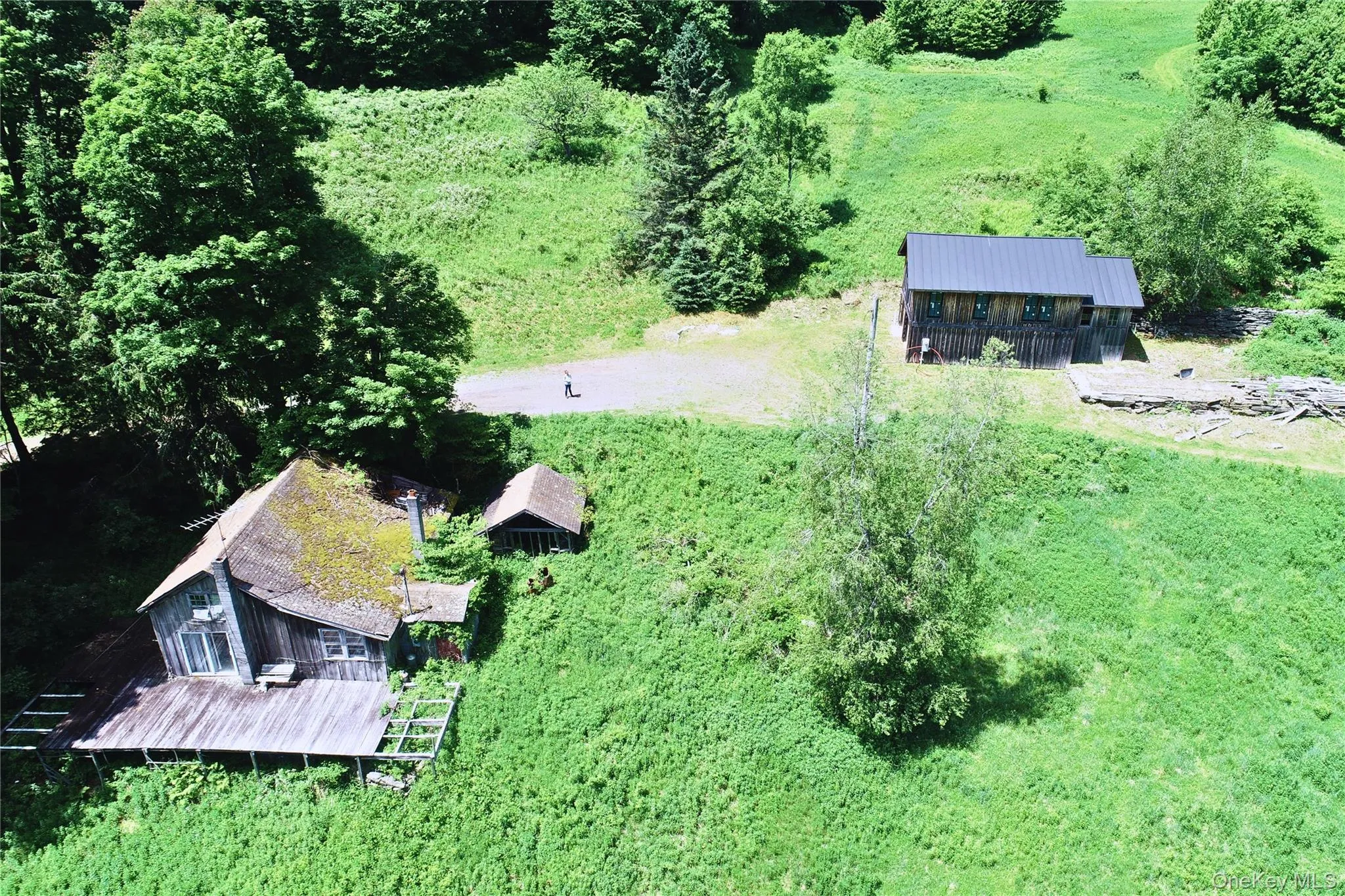 2613 Murphy Hill Road, Andes, NY, ,Land,For Rent,Murphy Hill,0,1013921 2613 Murphy Hill Road, Andes, NY, ,Land,For Rent,Murphy Hill,0,1013921