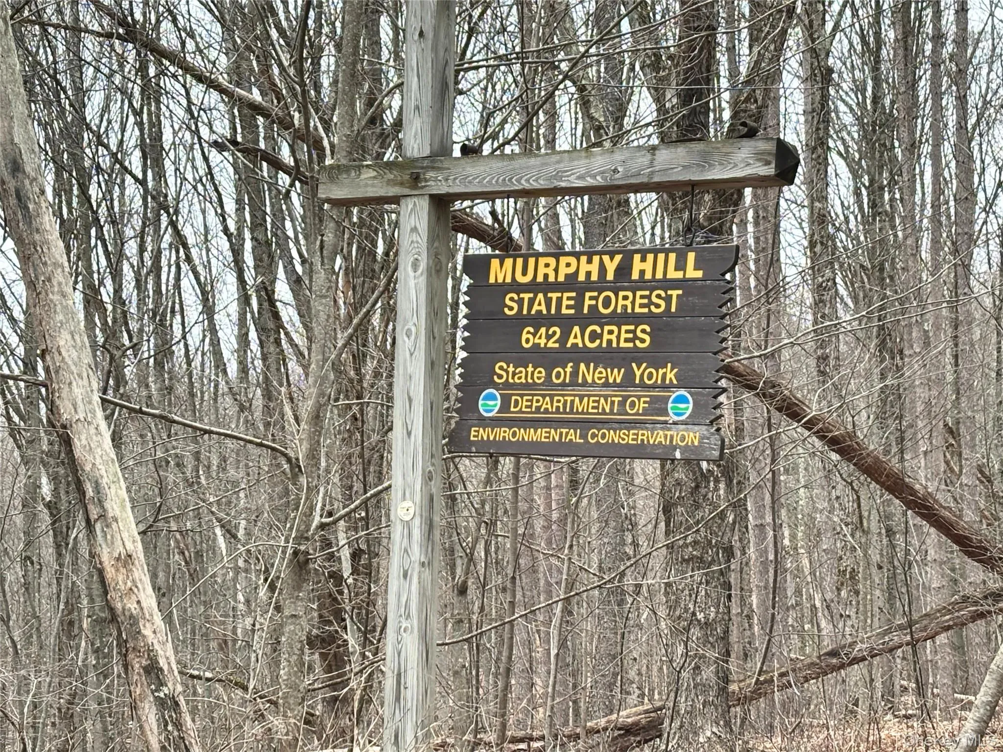 2613 Murphy Hill Road, Andes, NY, ,Land,For Rent,Murphy Hill,0,1013921 2613 Murphy Hill Road, Andes, NY, ,Land,For Rent,Murphy Hill,0,1013921