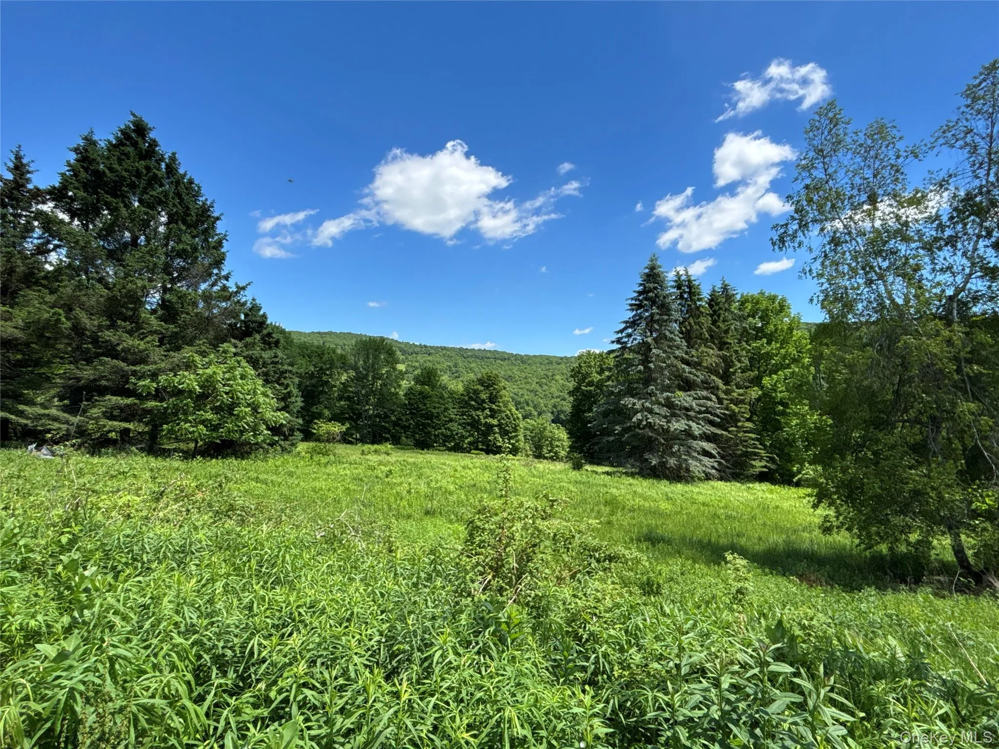 2613 Murphy Hill Road, Andes, NY, ,Land,For Rent,Murphy Hill,0,1013921 2613 Murphy Hill Road, Andes, NY, ,Land,For Rent,Murphy Hill,0,1013921