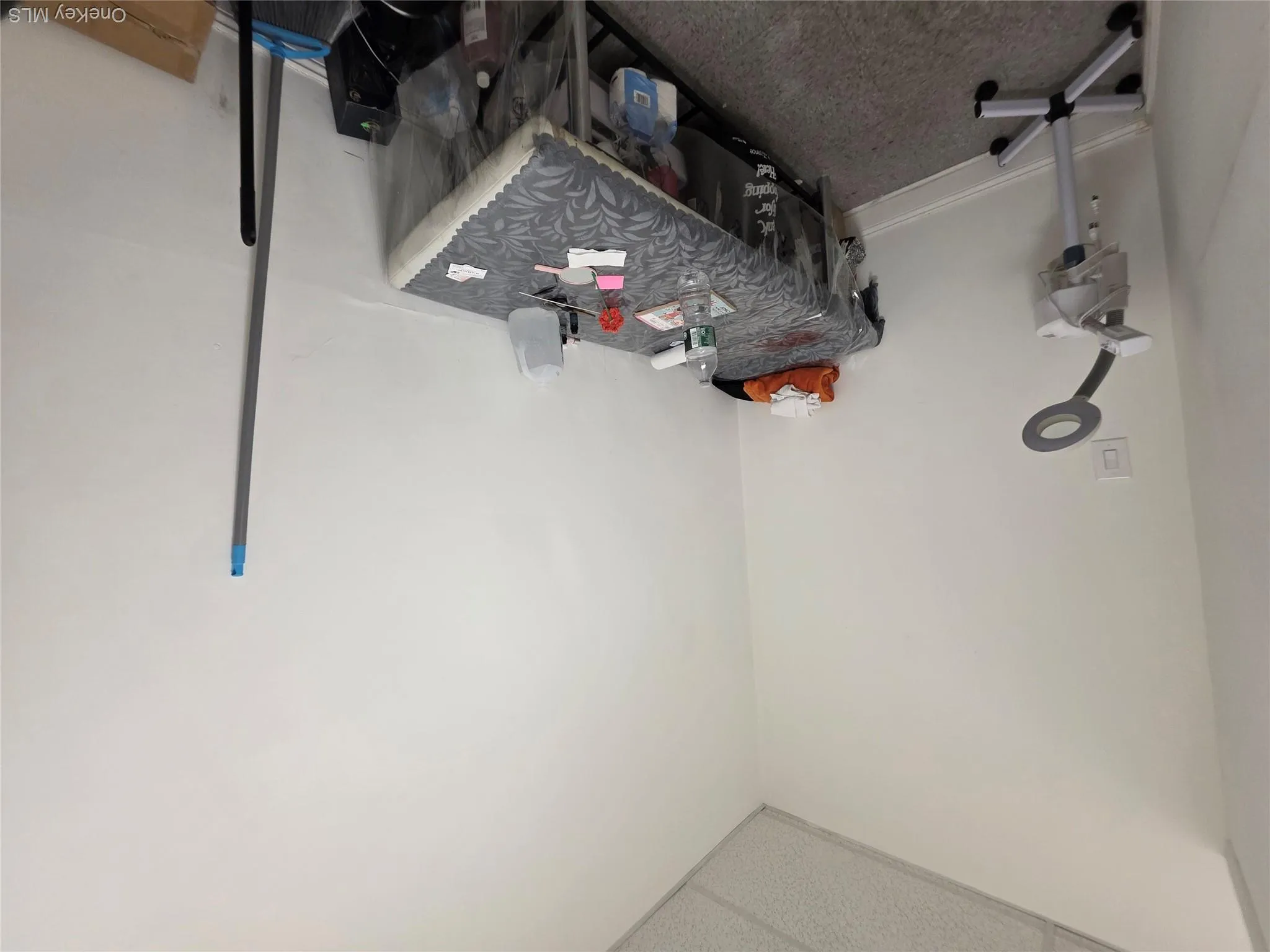 1446 Williamsbridge Road, New York, NY, ,Commercial Lease,For Rent,Williamsbridge,0,1013924 1446 Williamsbridge Road, New York, NY, ,Commercial Lease,For Rent,Williamsbridge,0,1013924