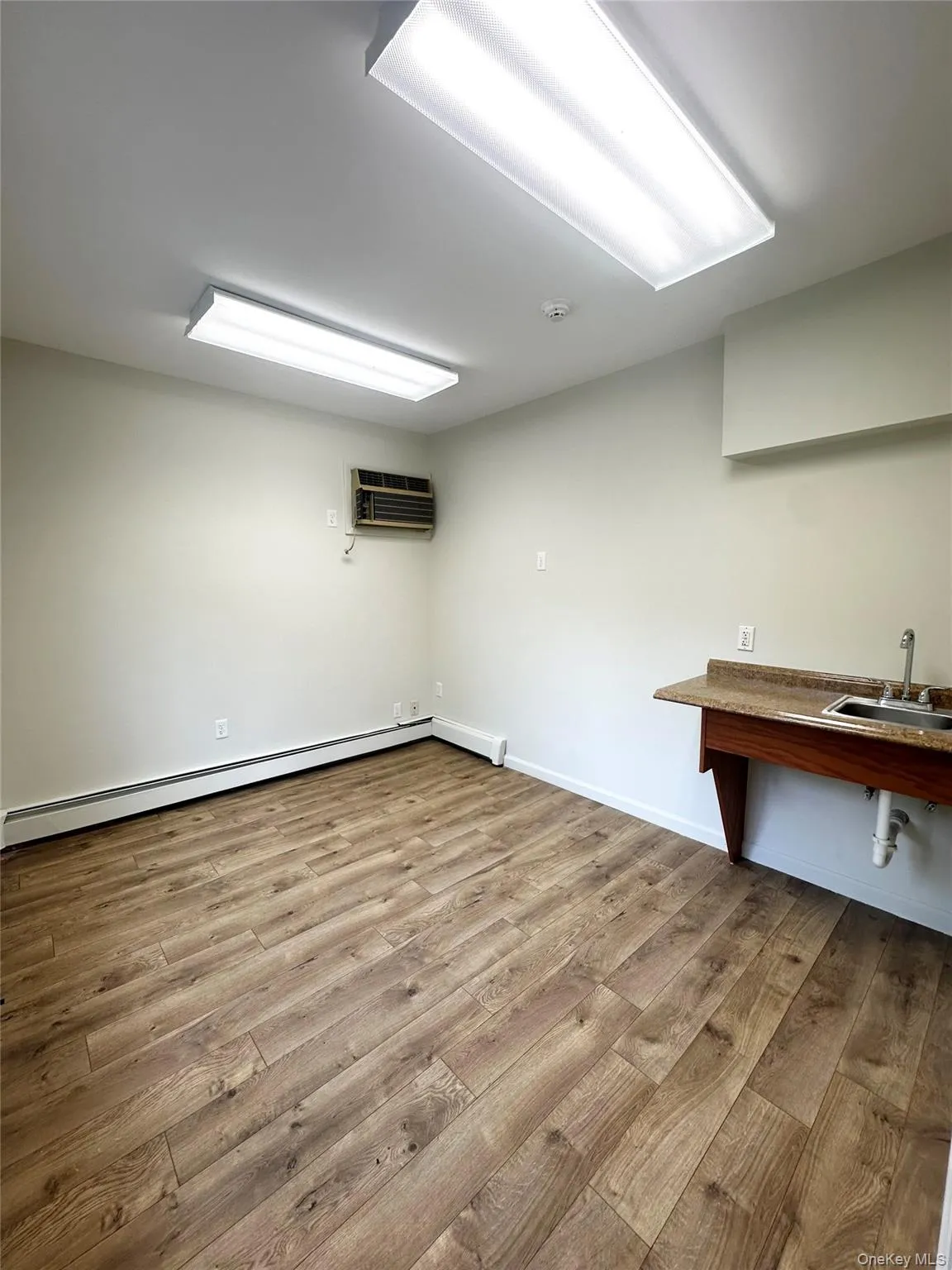 Below grade area featuring light wood-style floors, a baseboard radiator, and a wall unit AC Below grade area featuring light wood-style floors, a baseboard radiator, and a wall unit AC