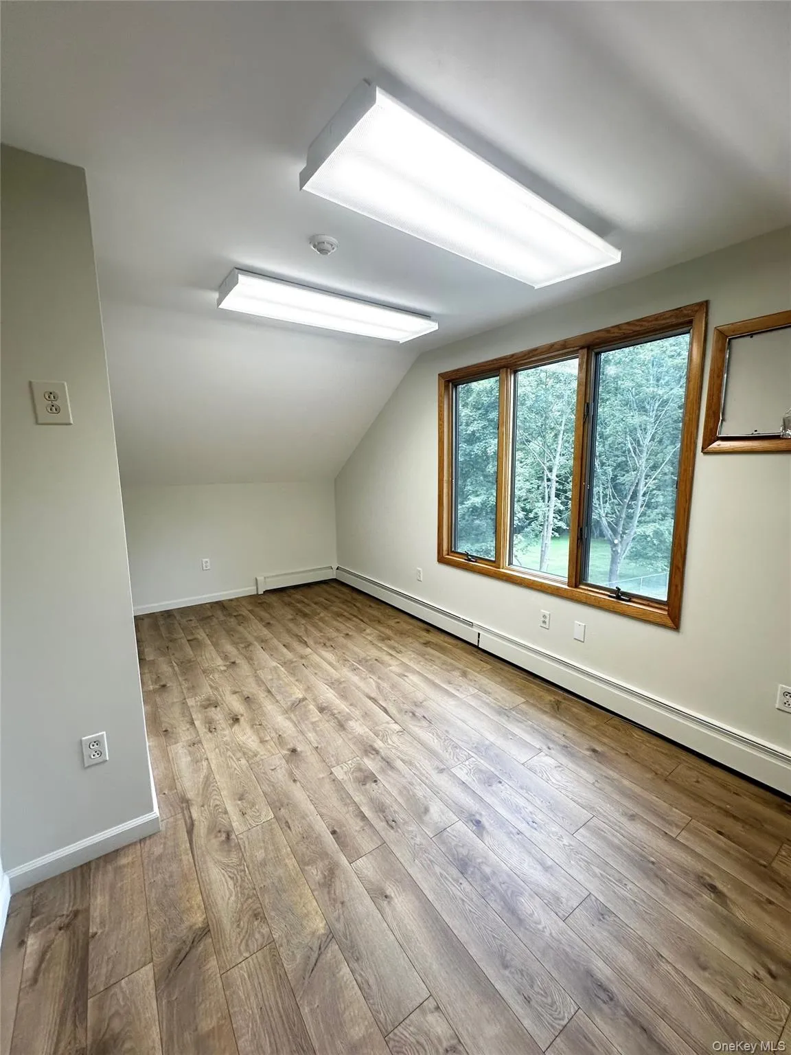 Additional living space with light wood-style floors, a baseboard radiator, and vaulted ceiling Additional living space with light wood-style floors, a baseboard radiator, and vaulted ceiling