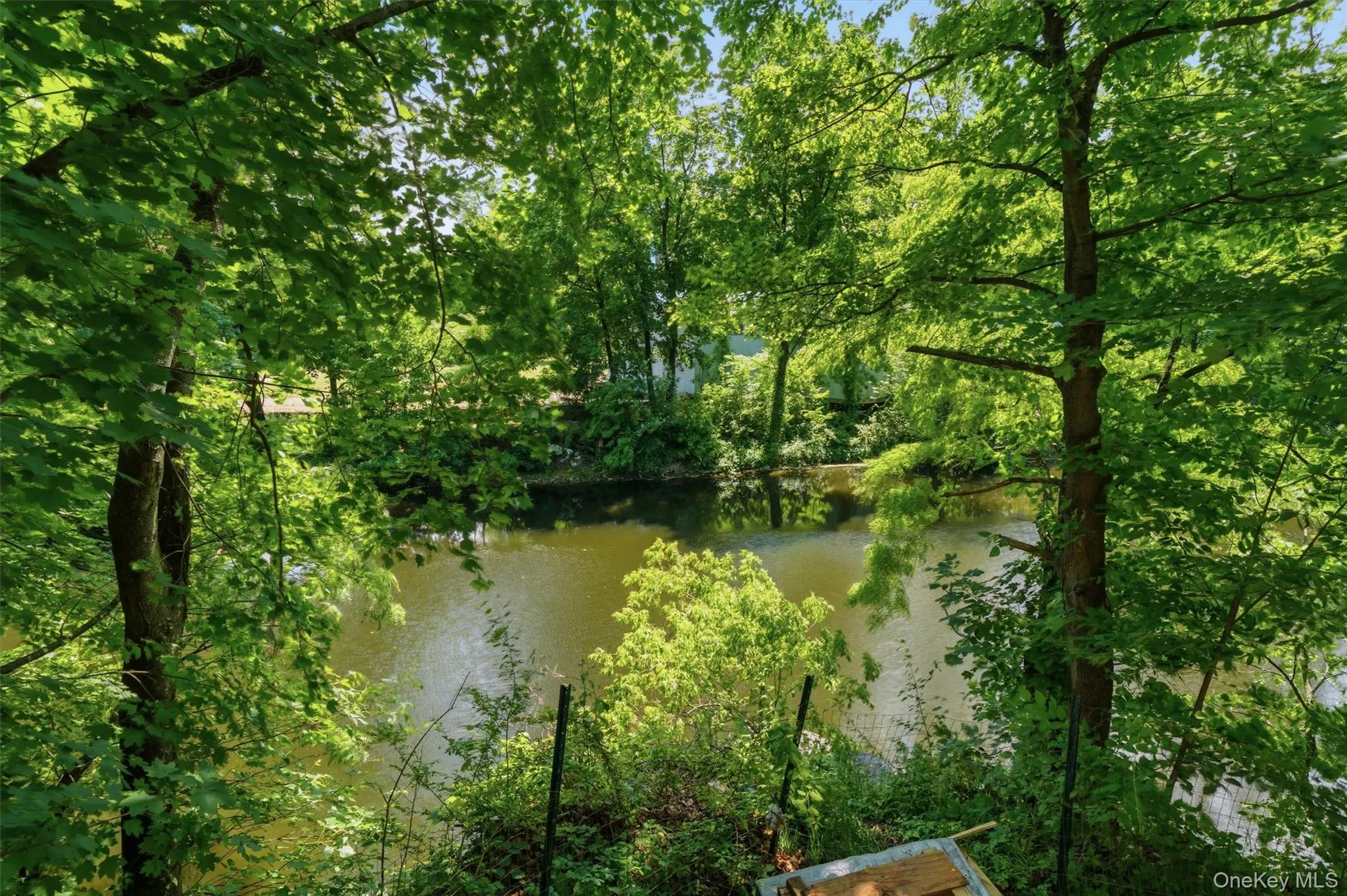 62 Orrs Mills, Blooming Grove, NY, 3 Bedrooms Bedrooms, 5 Rooms Rooms,1 BathroomBathrooms,Residential Lease,For Rent,Orrs Mills,0,1013989 62 Orrs Mills, Blooming Grove, NY, 3 Bedrooms Bedrooms, 5 Rooms Rooms,1 BathroomBathrooms,Residential Lease,For Rent,Orrs Mills,0,1013989