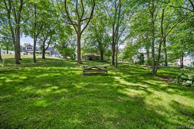 Beautiful large back yard Beautiful large back yard