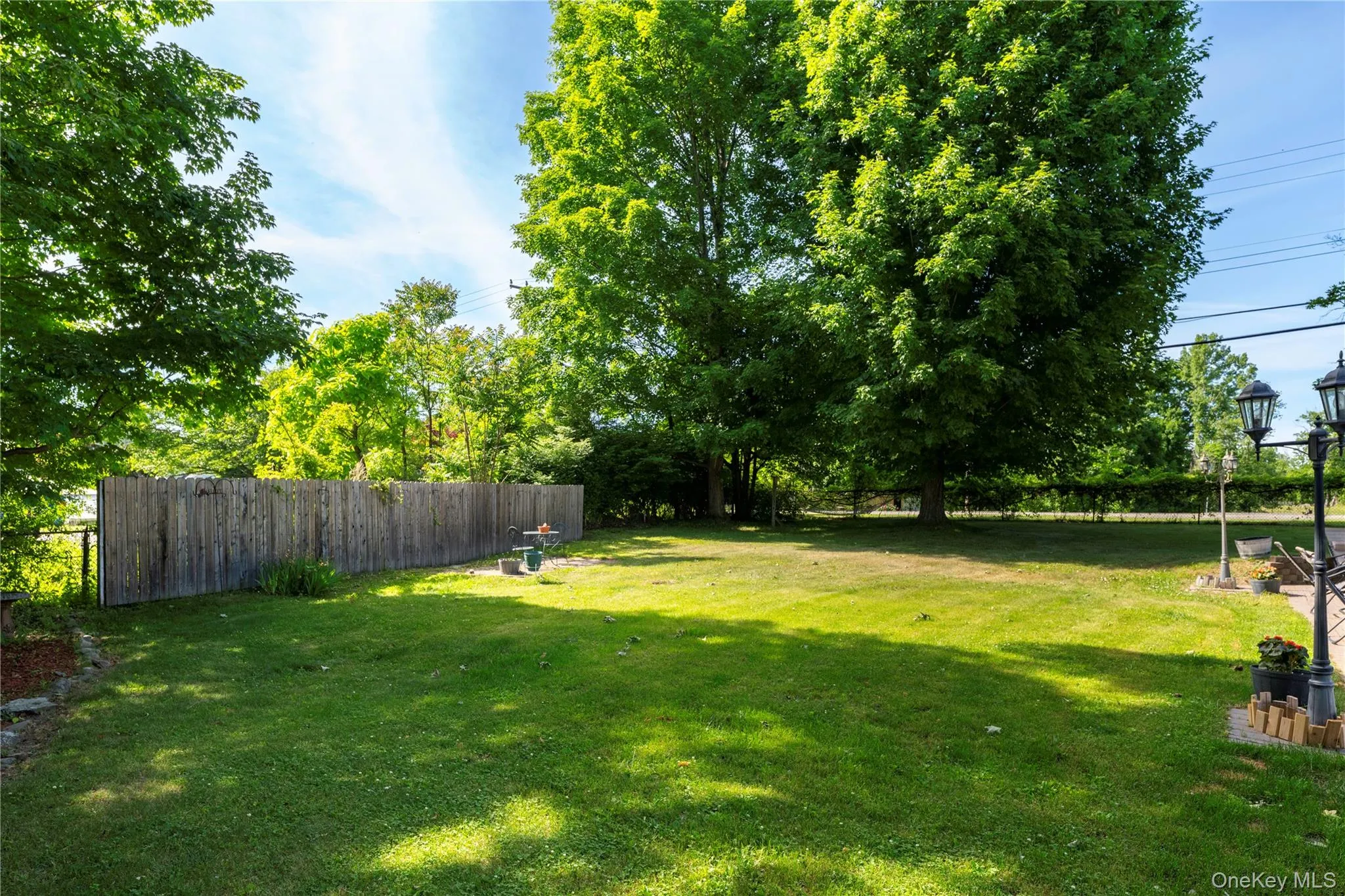 Expansive green lawn with mature trees and a wooden privacy fence Expansive green lawn with mature trees and a wooden privacy fence