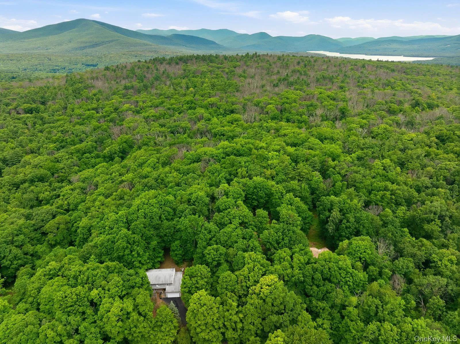 Aerial showing Catskill Mountains and Ashokan Reservoir Aerial showing Catskill Mountains and Ashokan Reservoir