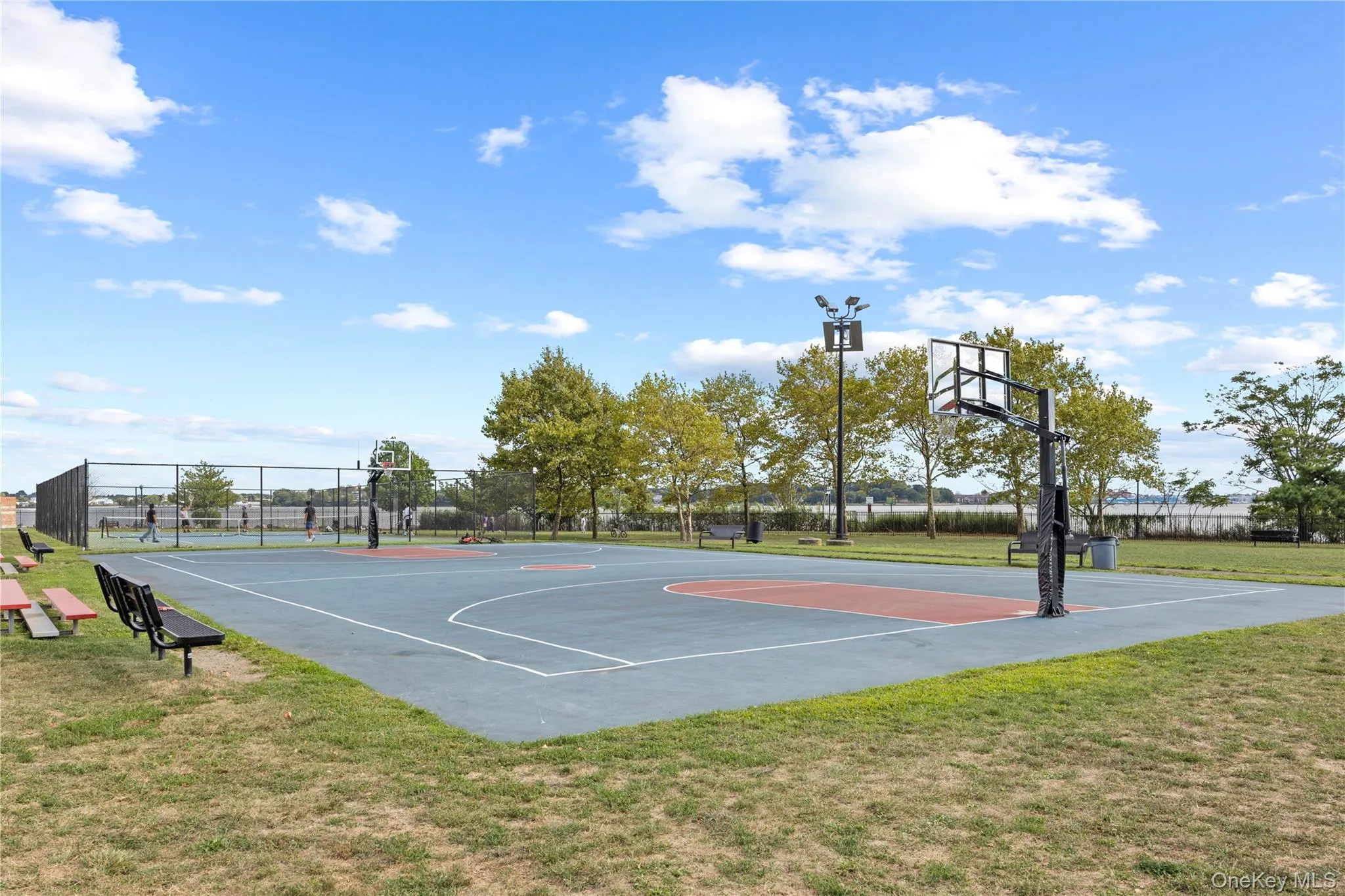 123 Heron Lane, New York, NY, 3 Bedrooms Bedrooms, 6 Rooms Rooms,2 BathroomsBathrooms,Residential,For Rent,Heron,0,1014042 123 Heron Lane, New York, NY, 3 Bedrooms Bedrooms, 6 Rooms Rooms,2 BathroomsBathrooms,Residential,For Rent,Heron,0,1014042