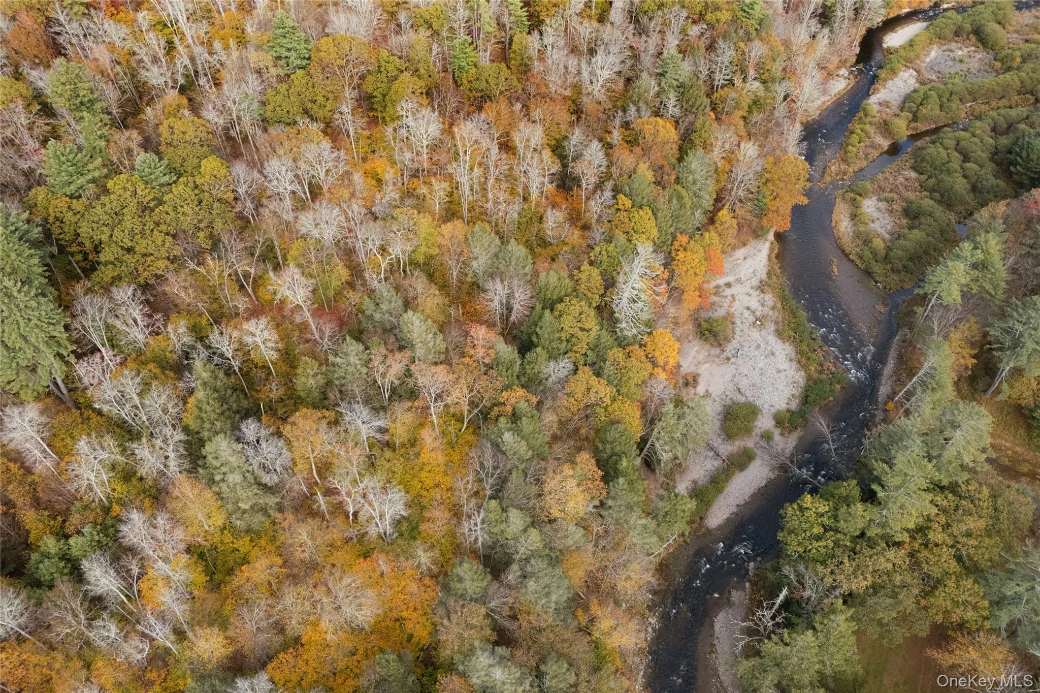 38 Frost Valley Road, Neversink, NY, 4 Bedrooms Bedrooms, 9 Rooms Rooms,3 BathroomsBathrooms,Residential,For Rent,Frost Valley,0,KEY1014069 38 Frost Valley Road, Neversink, NY, 4 Bedrooms Bedrooms, 9 Rooms Rooms,3 BathroomsBathrooms,Residential,For Rent,Frost Valley,0,KEY1014069