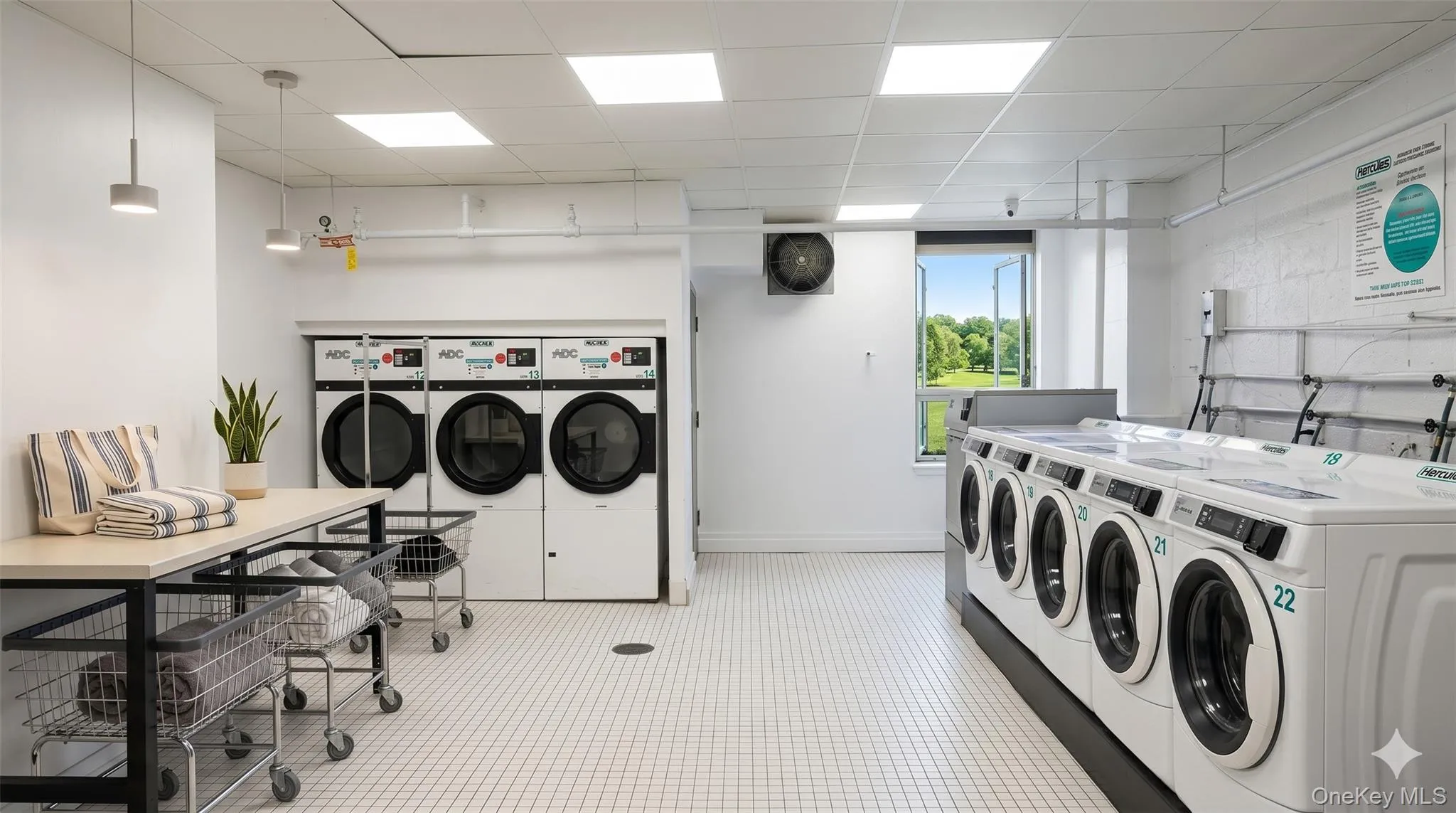 1065 Vermont Street, New York, NY, 2 Bedrooms Bedrooms, 4 Rooms Rooms,1 BathroomBathrooms,Residential,For Rent,Vermont,0,1014102 1065 Vermont Street, New York, NY, 2 Bedrooms Bedrooms, 4 Rooms Rooms,1 BathroomBathrooms,Residential,For Rent,Vermont,0,1014102
