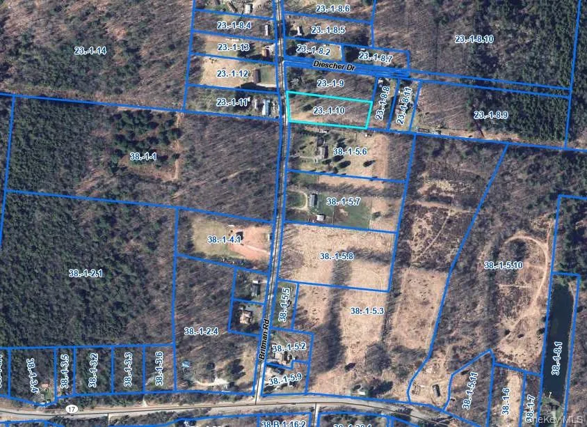 TBD Britman Road, Bethel, NY, ,Land,For Rent,Britman,0,1014106 TBD Britman Road, Bethel, NY, ,Land,For Rent,Britman,0,1014106