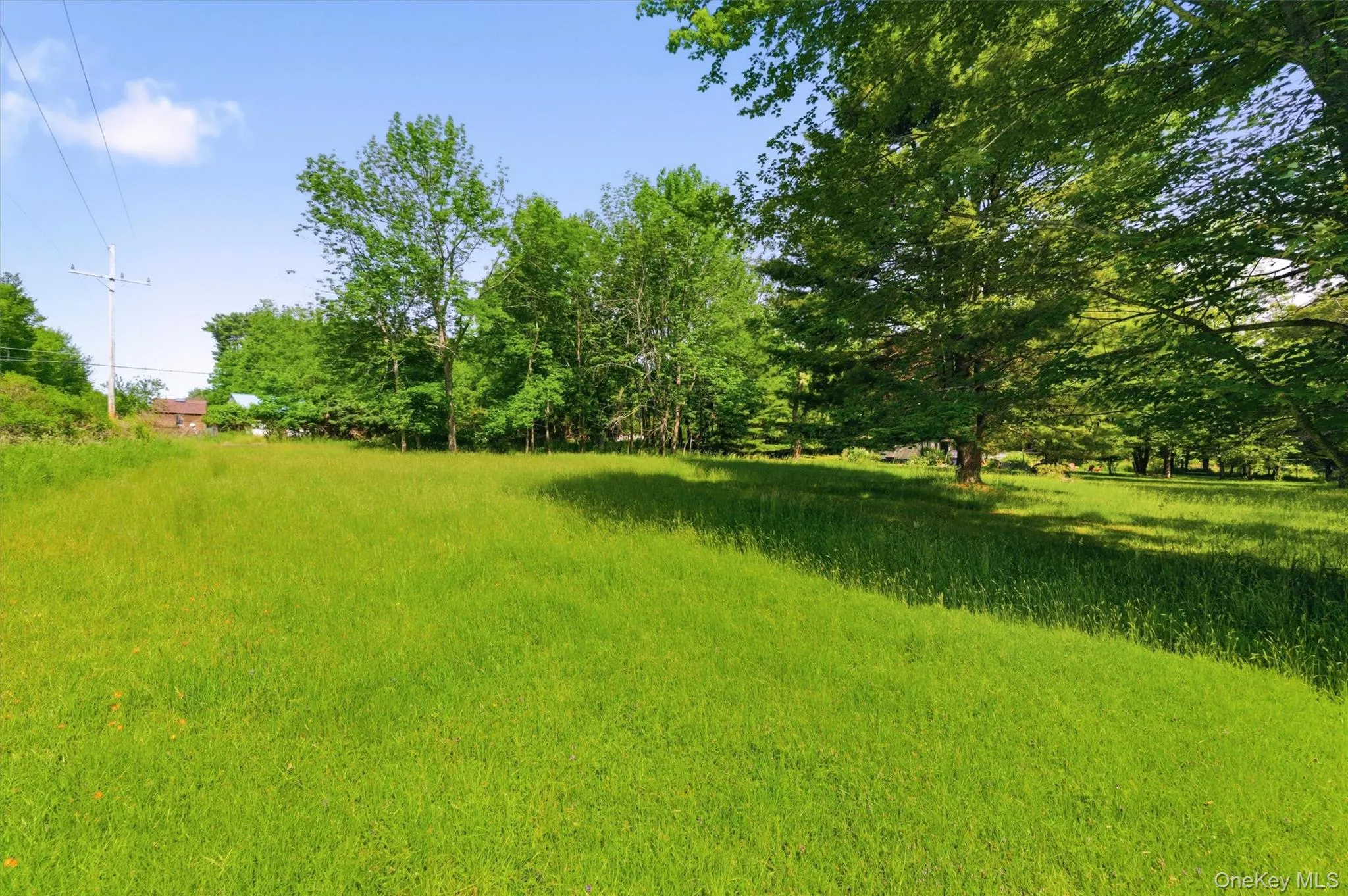 TBD Britman Road, Bethel, NY, ,Land,For Rent,Britman,0,1014106 TBD Britman Road, Bethel, NY, ,Land,For Rent,Britman,0,1014106