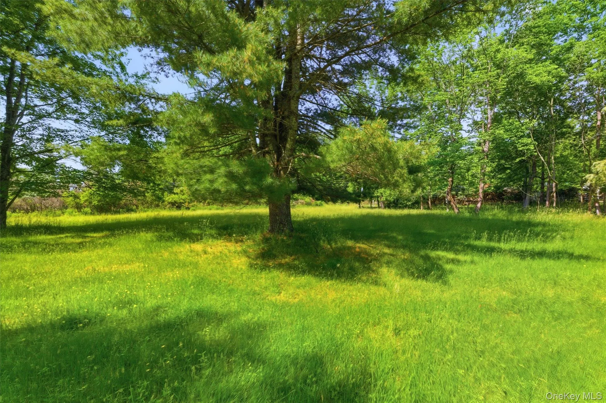 TBD Britman Road, Bethel, NY, ,Land,For Rent,Britman,0,1014106 TBD Britman Road, Bethel, NY, ,Land,For Rent,Britman,0,1014106