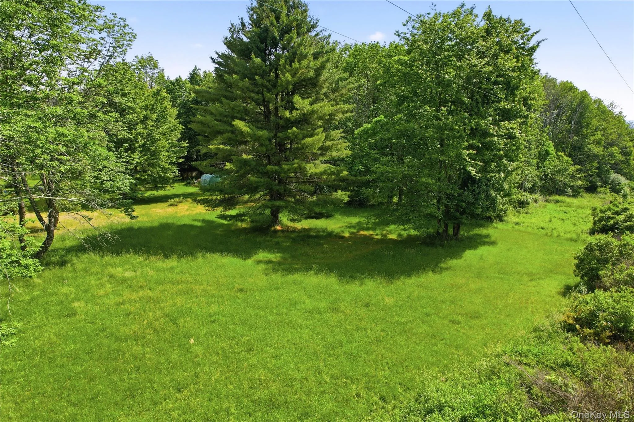 TBD Britman Road, Bethel, NY, ,Land,For Rent,Britman,0,1014106 TBD Britman Road, Bethel, NY, ,Land,For Rent,Britman,0,1014106
