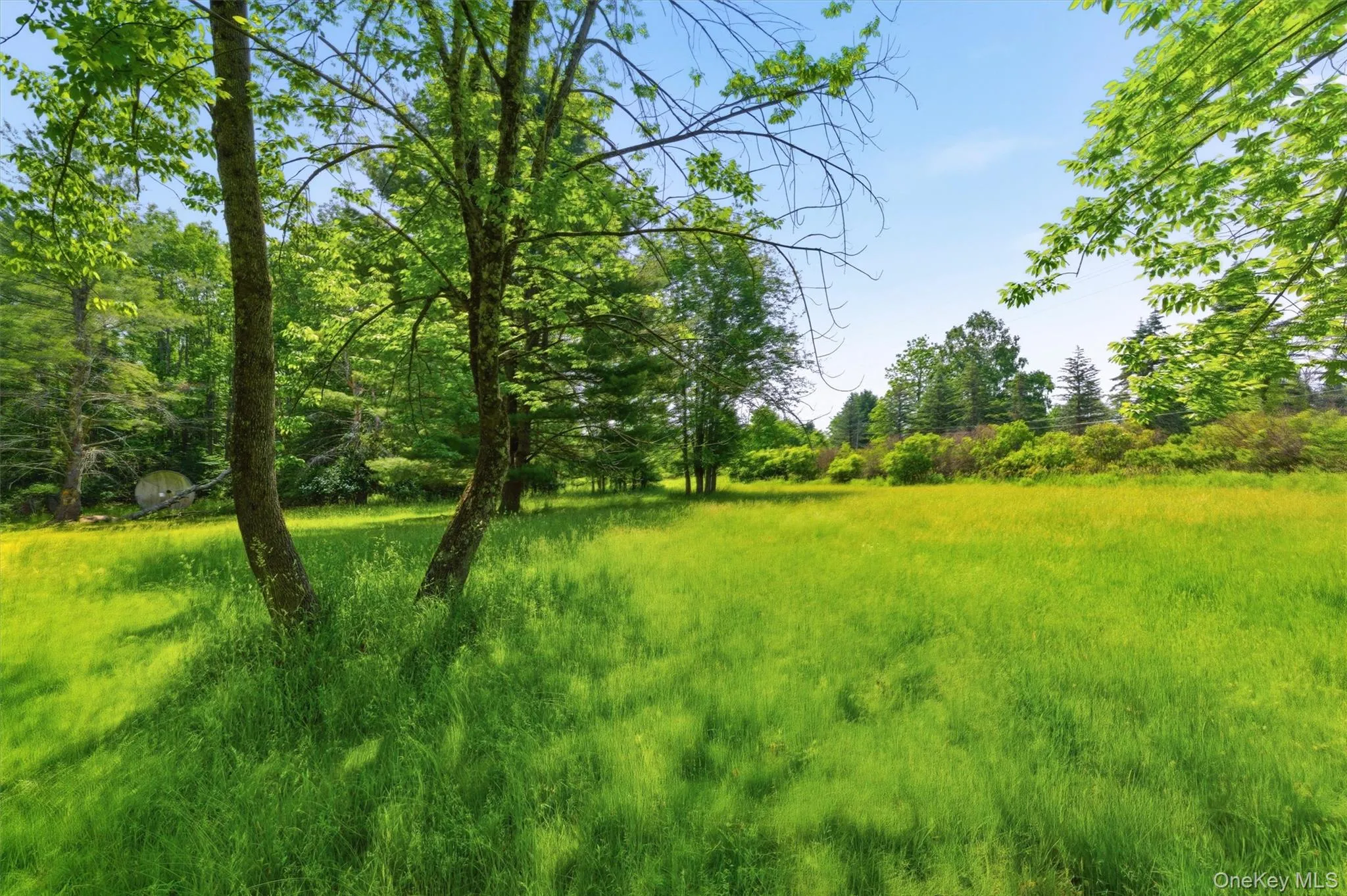 TBD Britman Road, Bethel, NY, ,Land,For Rent,Britman,0,1014106 TBD Britman Road, Bethel, NY, ,Land,For Rent,Britman,0,1014106