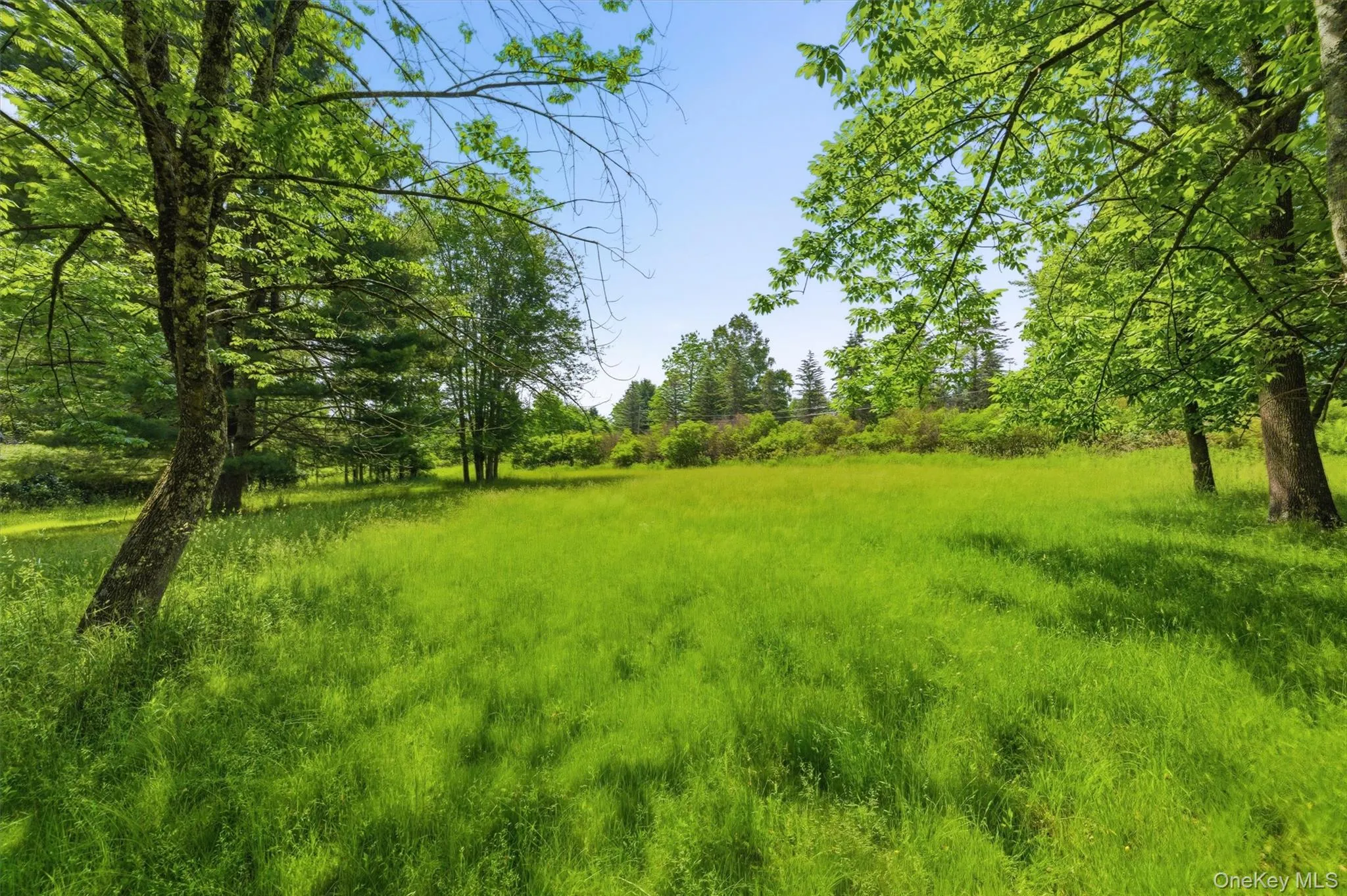 TBD Britman Road, Bethel, NY, ,Land,For Rent,Britman,0,1014106 TBD Britman Road, Bethel, NY, ,Land,For Rent,Britman,0,1014106