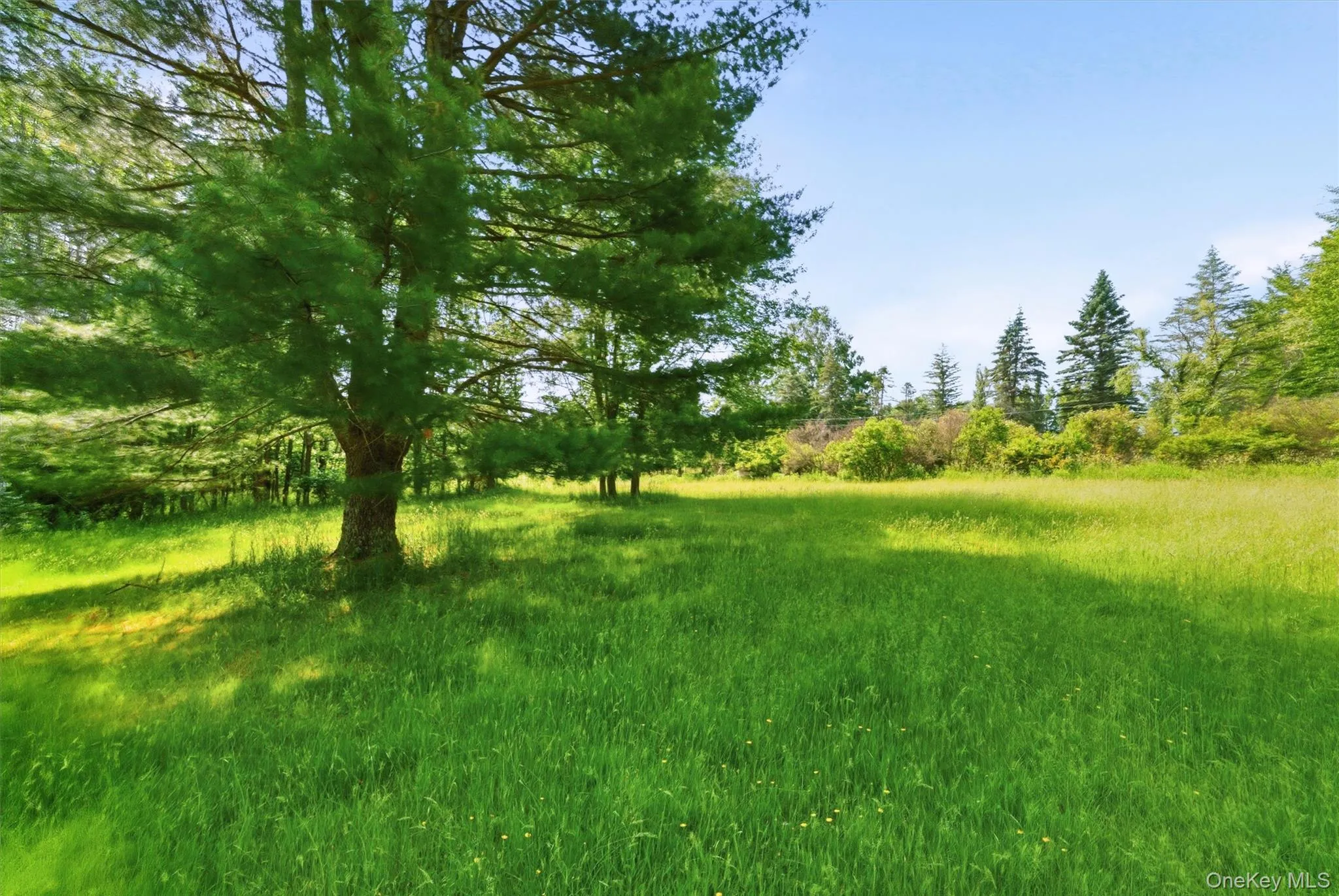 TBD Britman Road, Bethel, NY, ,Land,For Rent,Britman,0,1014106 TBD Britman Road, Bethel, NY, ,Land,For Rent,Britman,0,1014106
