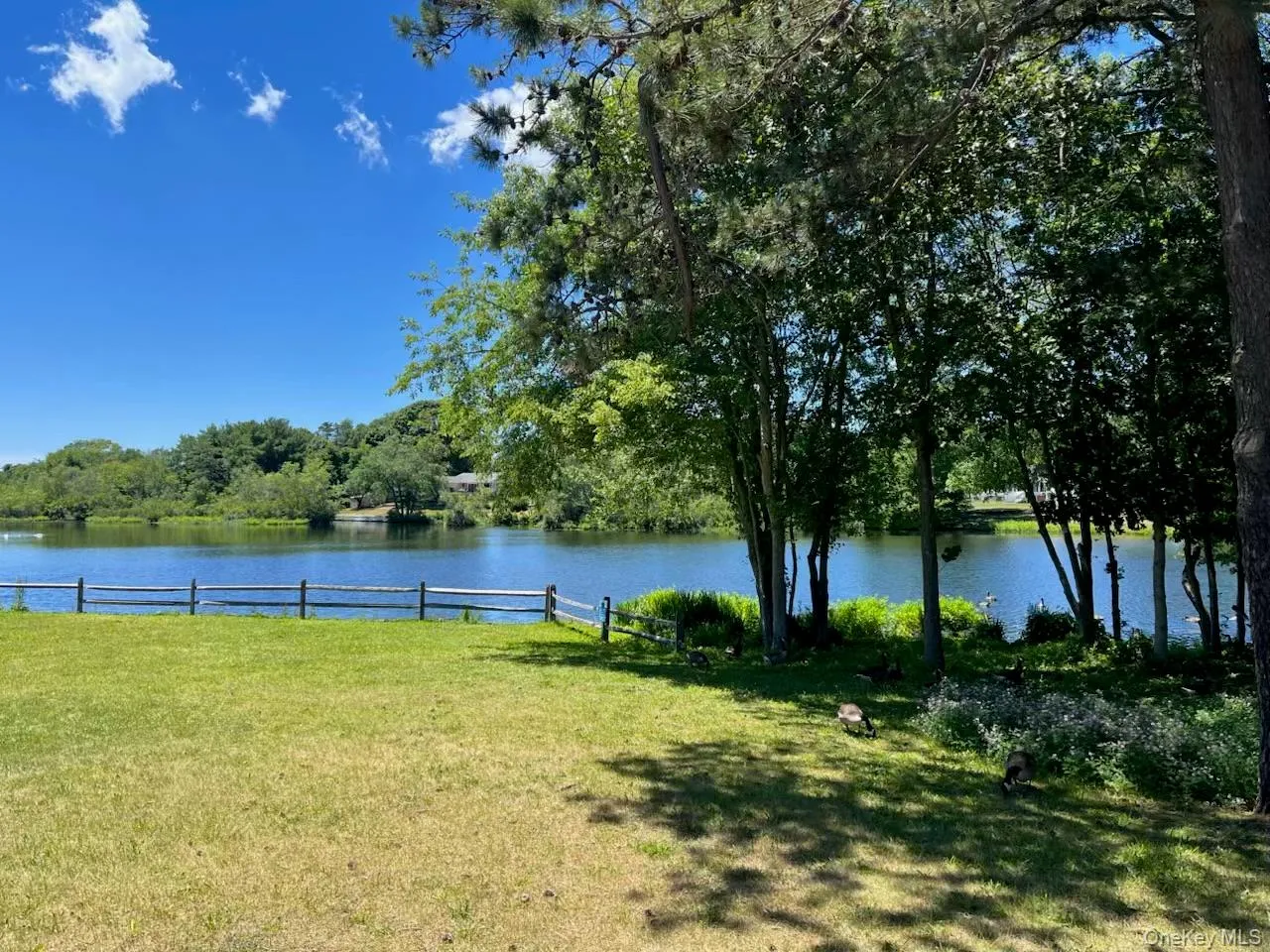 208 Lake Drive, Brookhaven, NY, 3 Bedrooms Bedrooms, 6 Rooms Rooms,1 BathroomBathrooms,Residential,For Rent,Lake,0,1014115 208 Lake Drive, Brookhaven, NY, 3 Bedrooms Bedrooms, 6 Rooms Rooms,1 BathroomBathrooms,Residential,For Rent,Lake,0,1014115