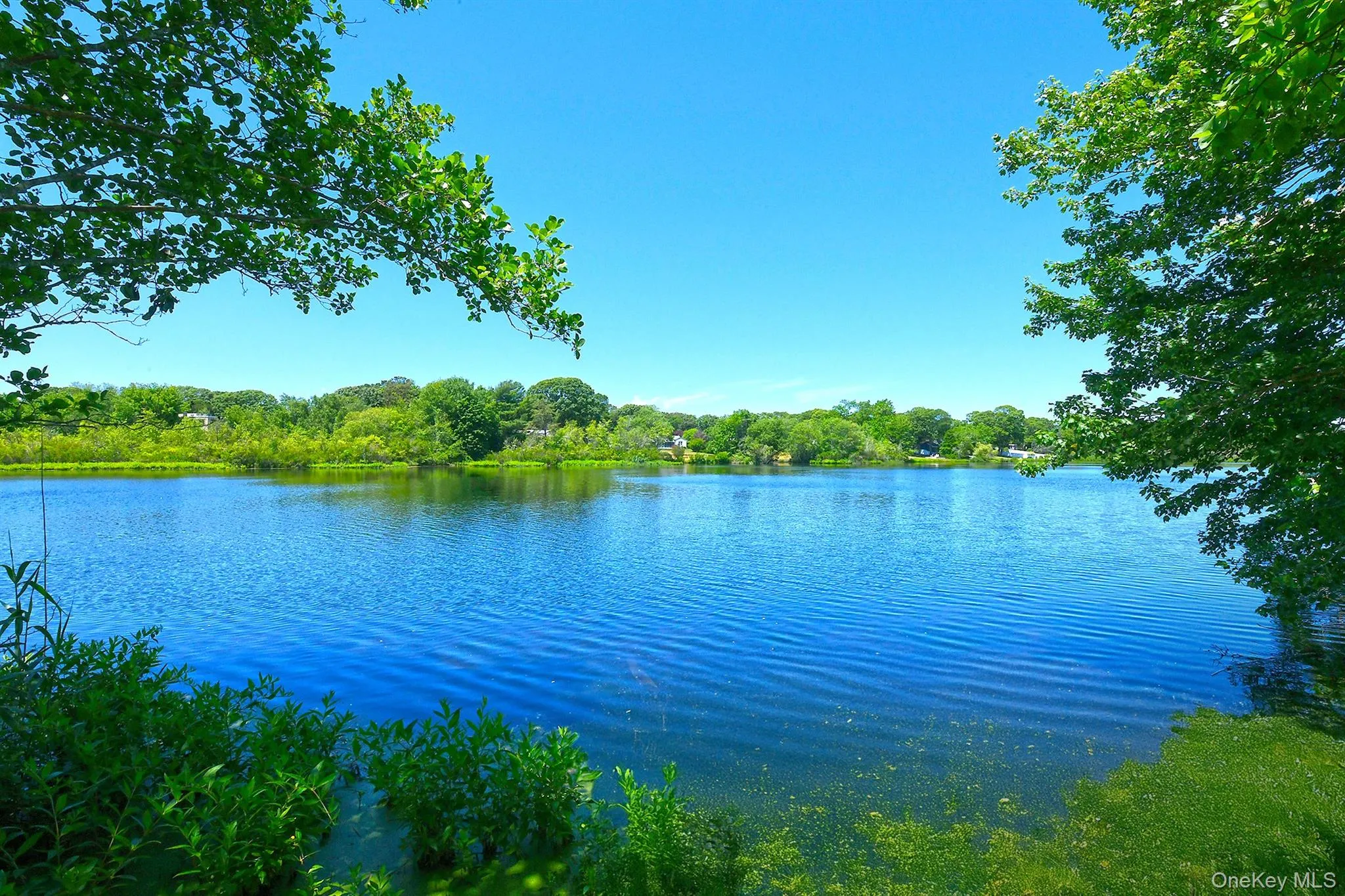 208 Lake Drive, Brookhaven, NY, 3 Bedrooms Bedrooms, 6 Rooms Rooms,1 BathroomBathrooms,Residential,For Rent,Lake,0,1014115 208 Lake Drive, Brookhaven, NY, 3 Bedrooms Bedrooms, 6 Rooms Rooms,1 BathroomBathrooms,Residential,For Rent,Lake,0,1014115